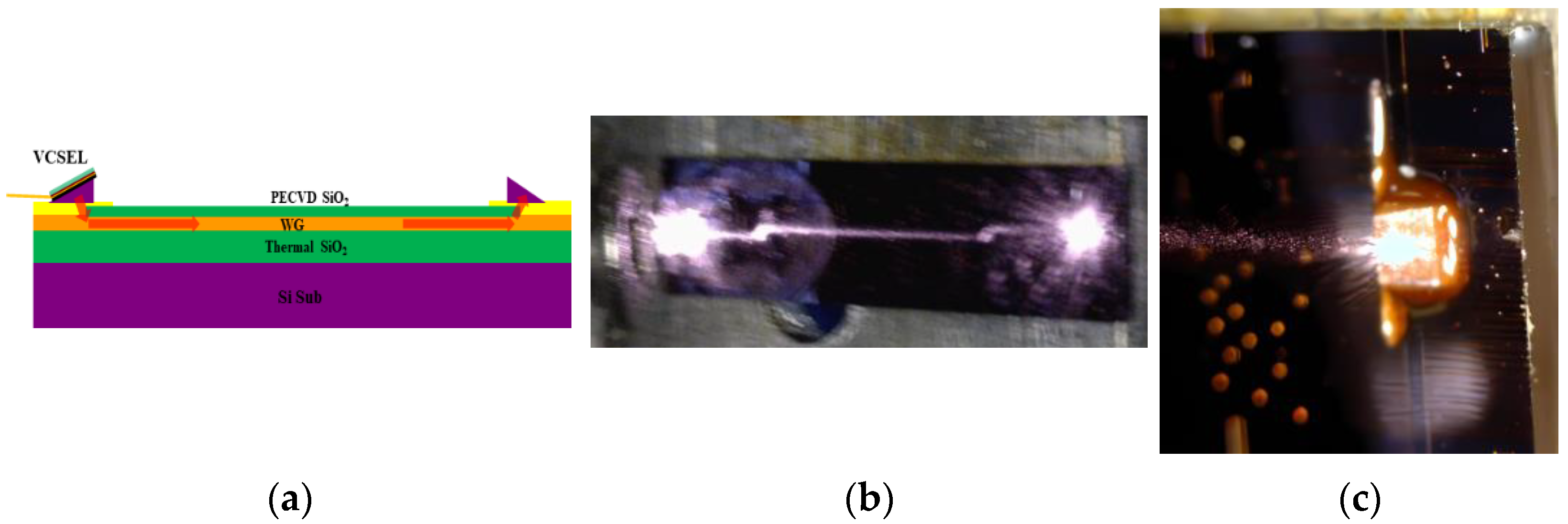Photonics 12 00873 g004
