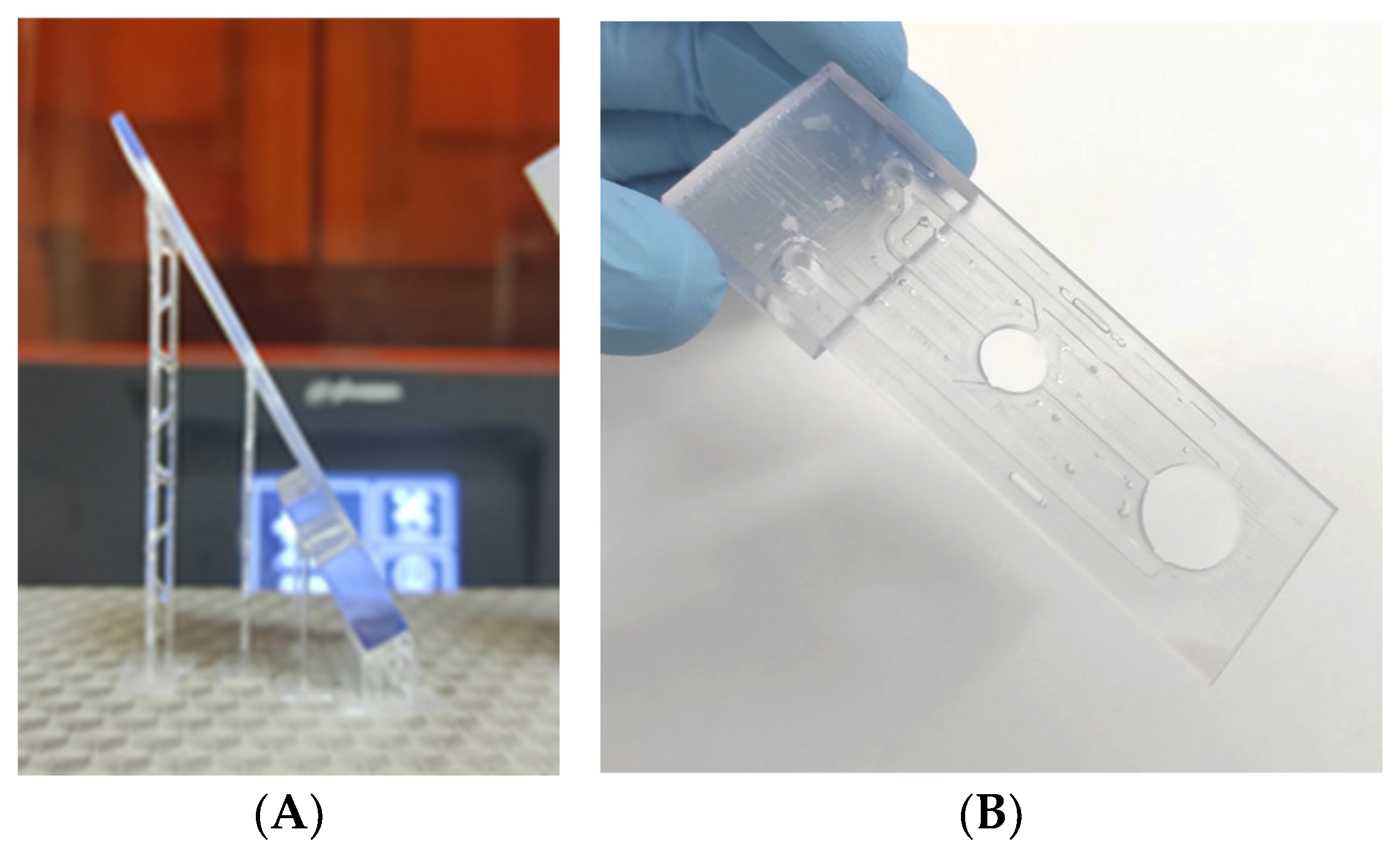 Photonics 12 00877 g0a1