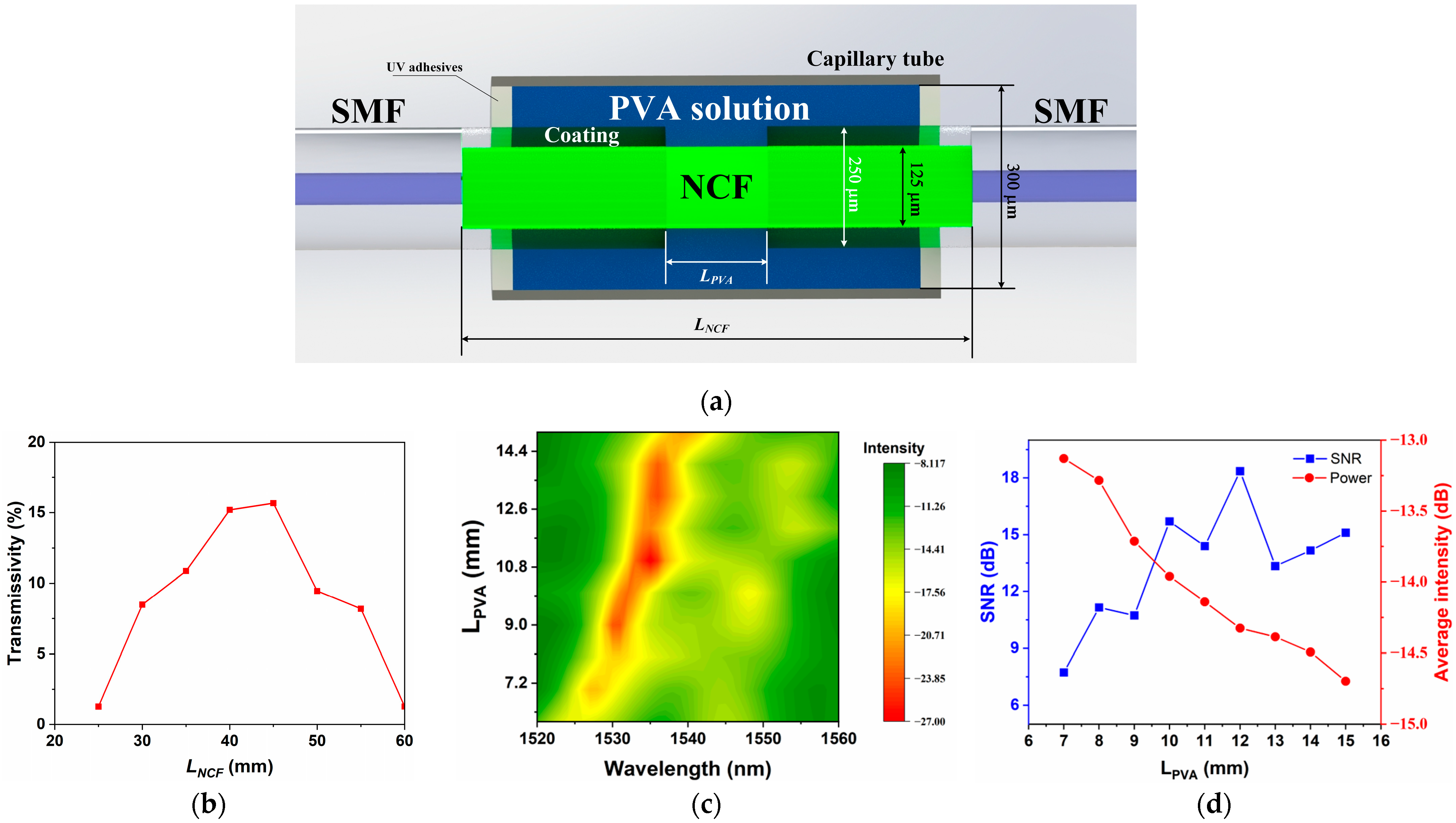 Photonics 12 00887 g004 Photonics 12 00887 g004