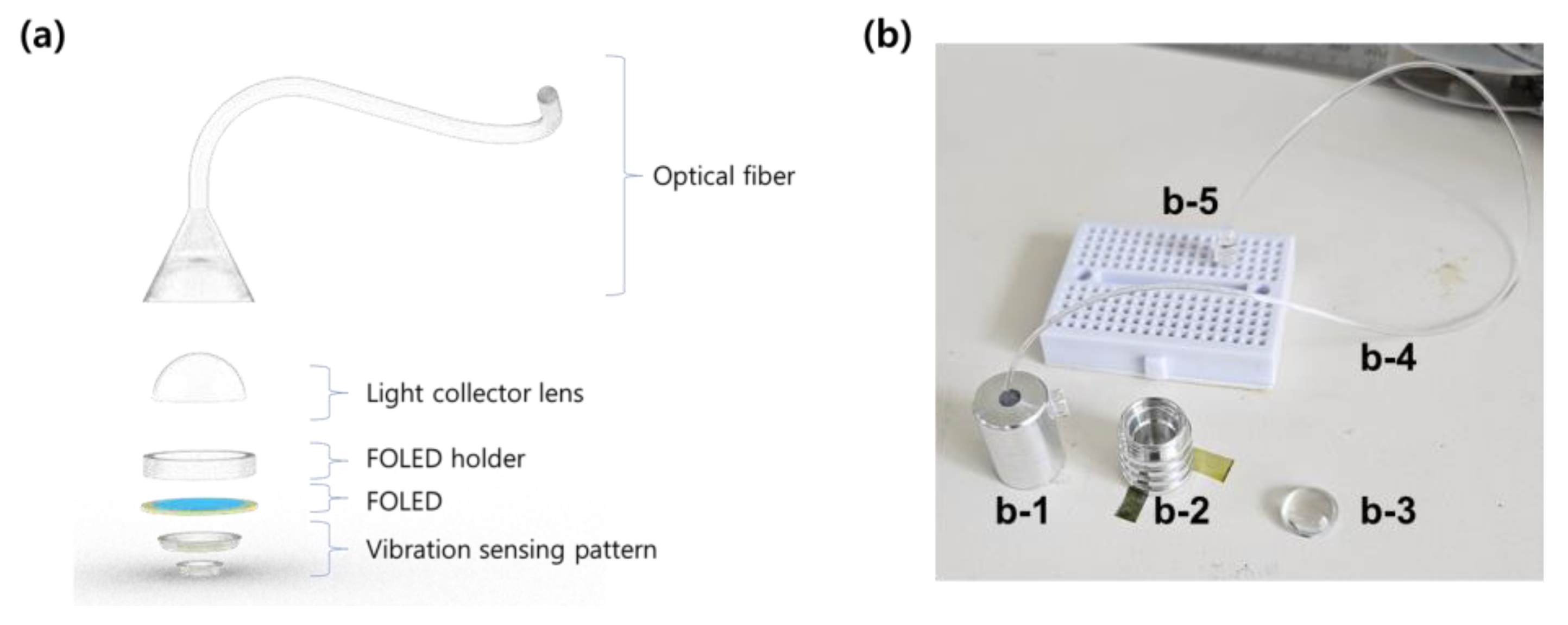 Photonics 12 00909 g003