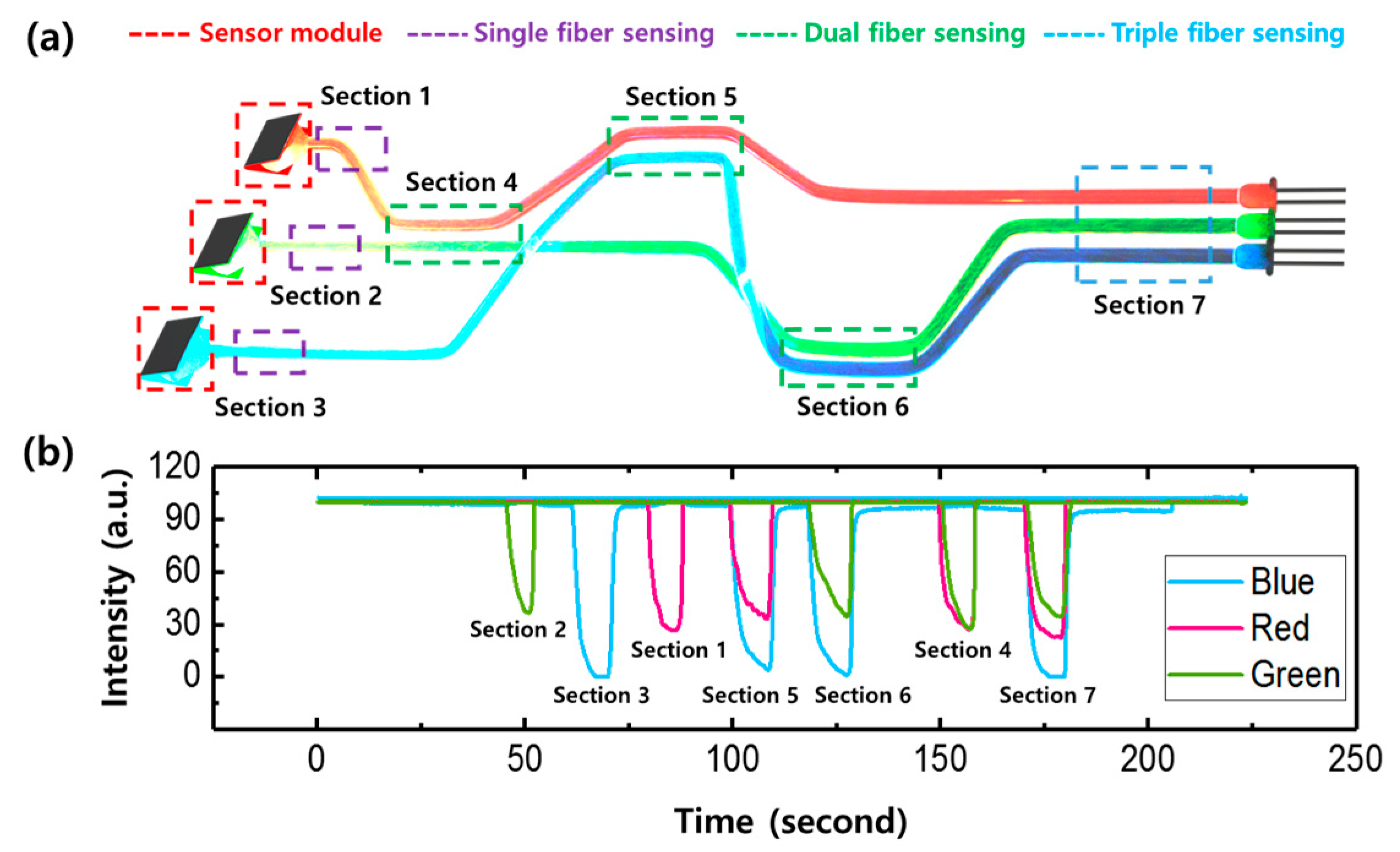 Photonics 12 00909 g005