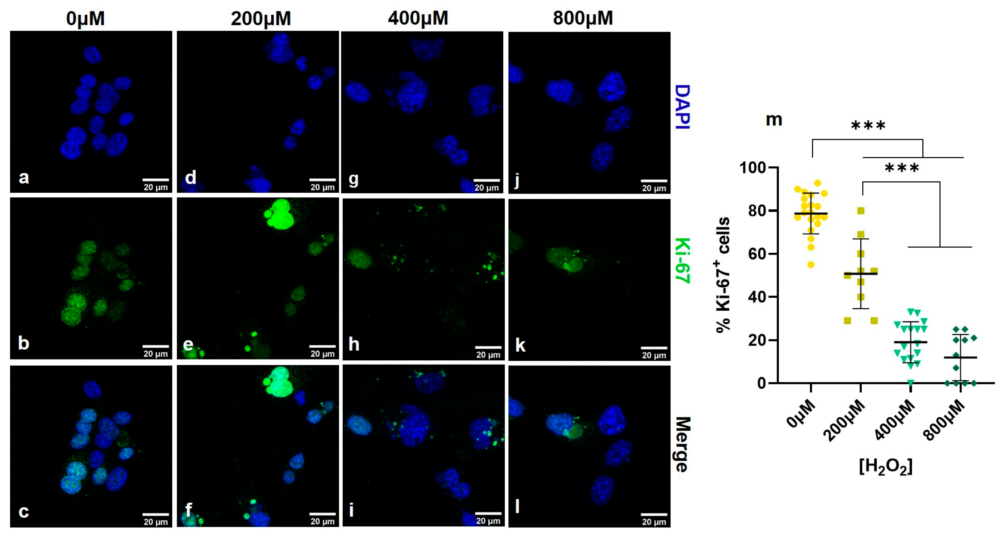 Photonics 12 00919 g001