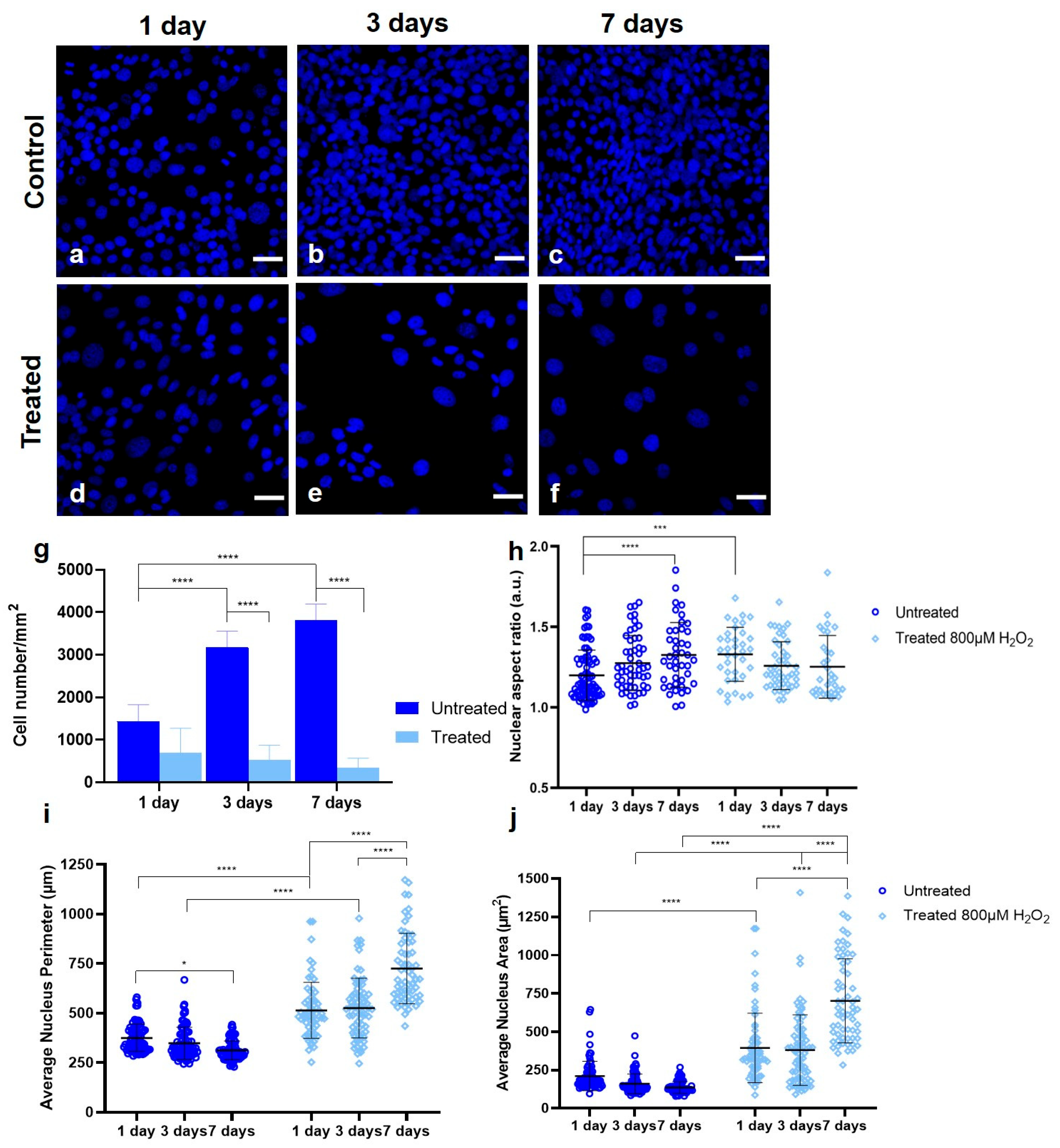 Photonics 12 00919 g003