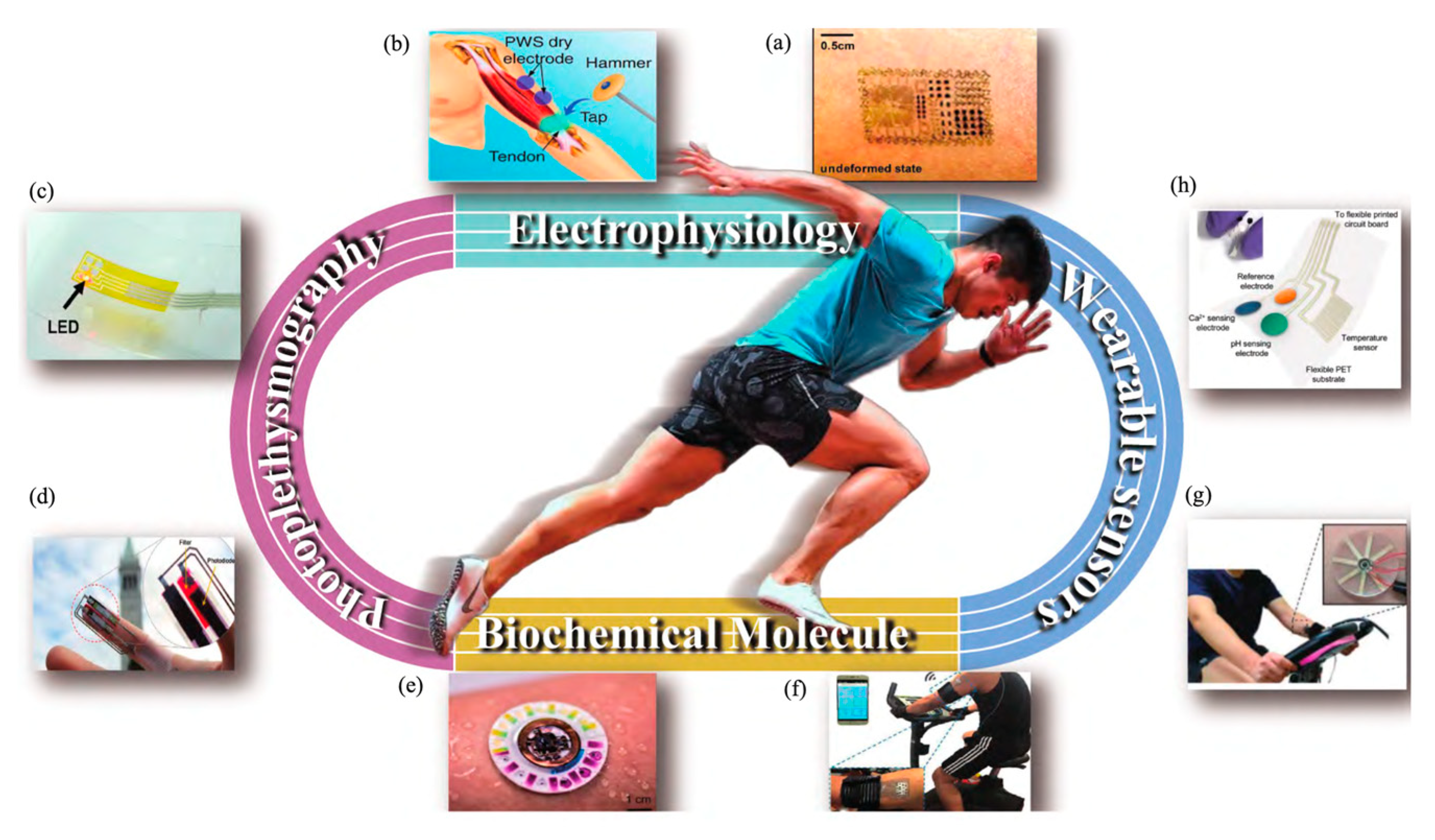 Photonics 12 00963 g005 Photonics 12 00963 g005