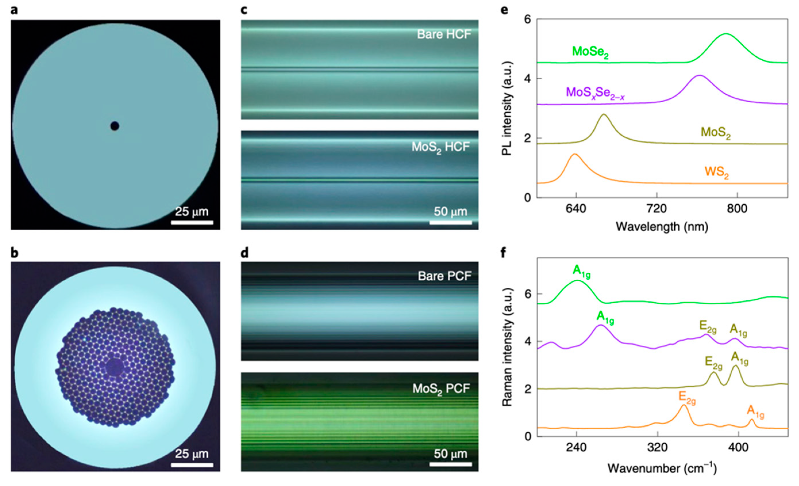 Photonics 12 00963 g006 Photonics 12 00963 g006