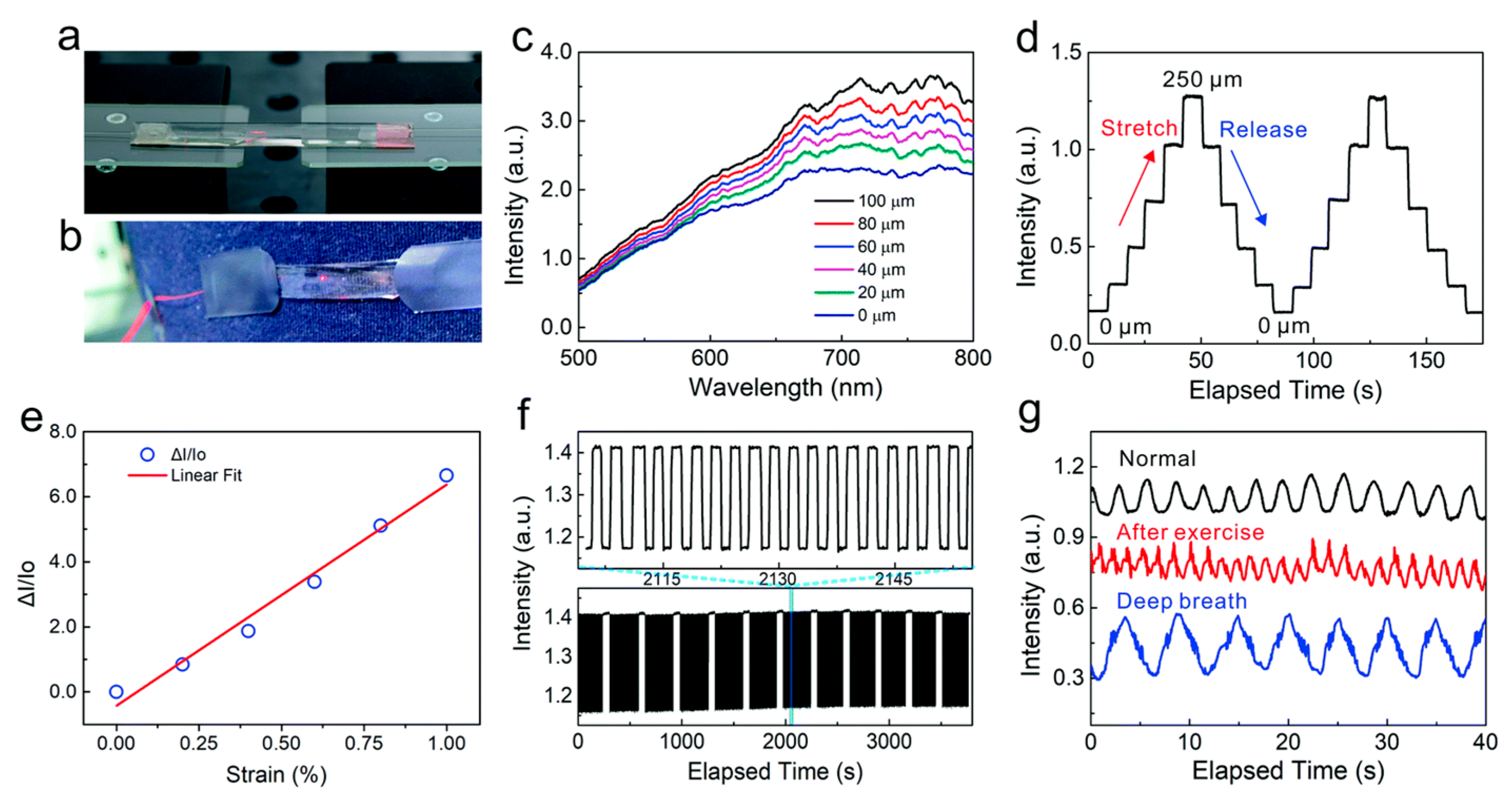 Photonics 12 00963 g010 Photonics 12 00963 g010