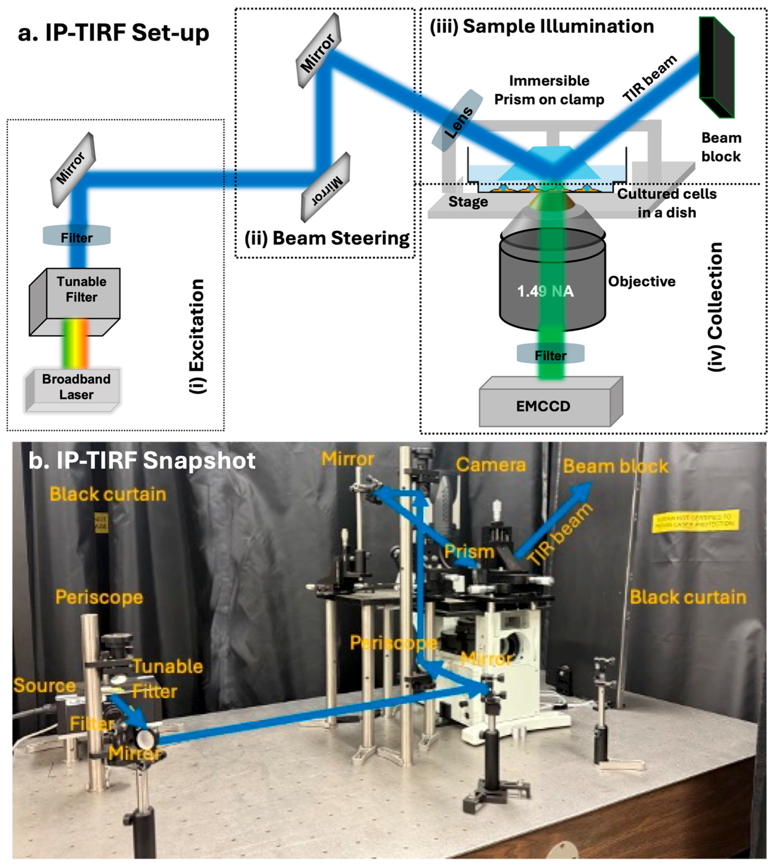 Photonics 12 00994 g002