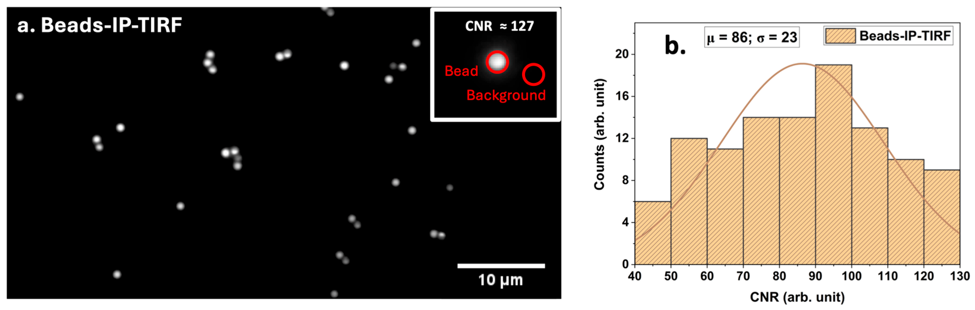 Photonics 12 00994 g003