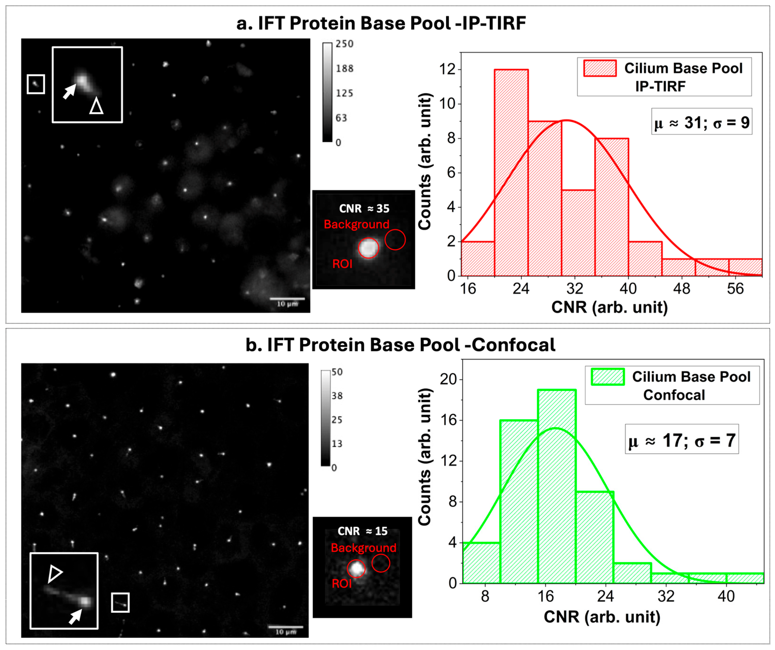 Photonics 12 00994 g004