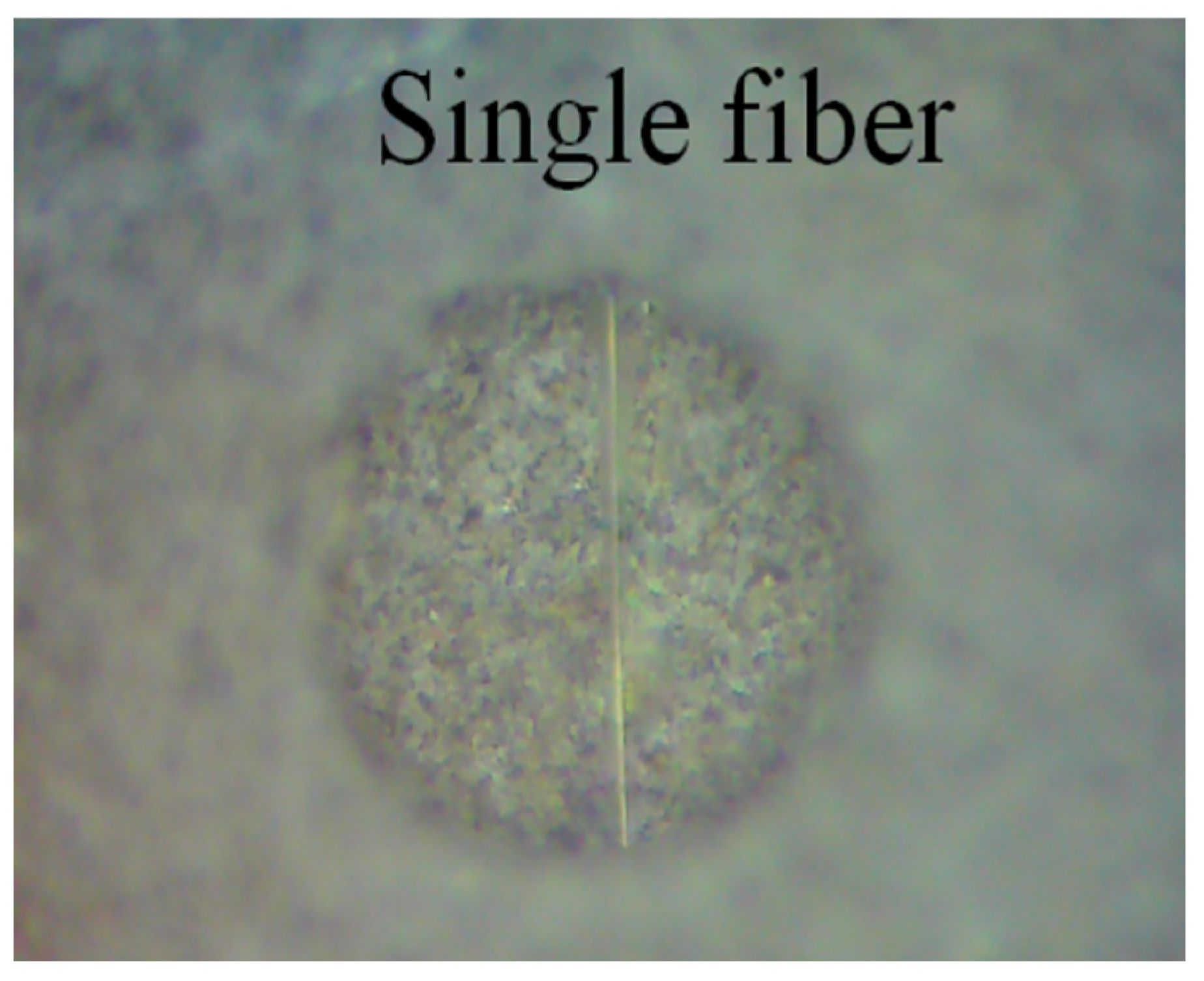 Photonics 12 01013 g003 Photonics 12 01013 g003