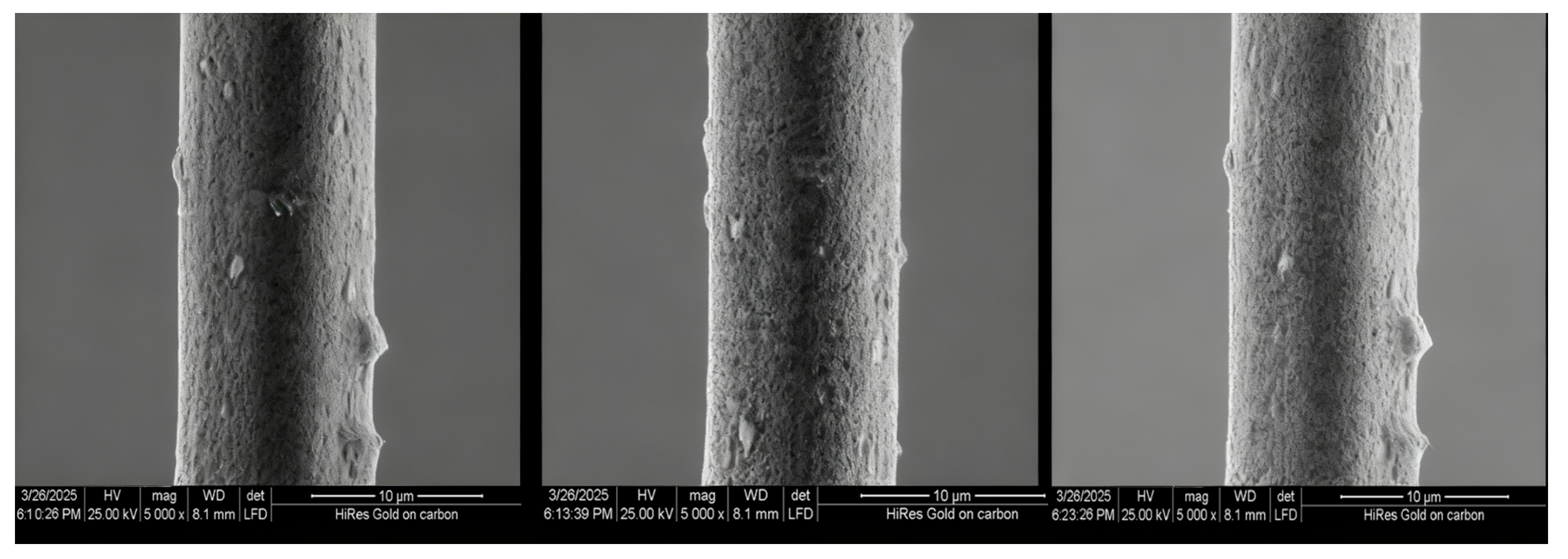 Photonics 12 01013 g015 Photonics 12 01013 g015