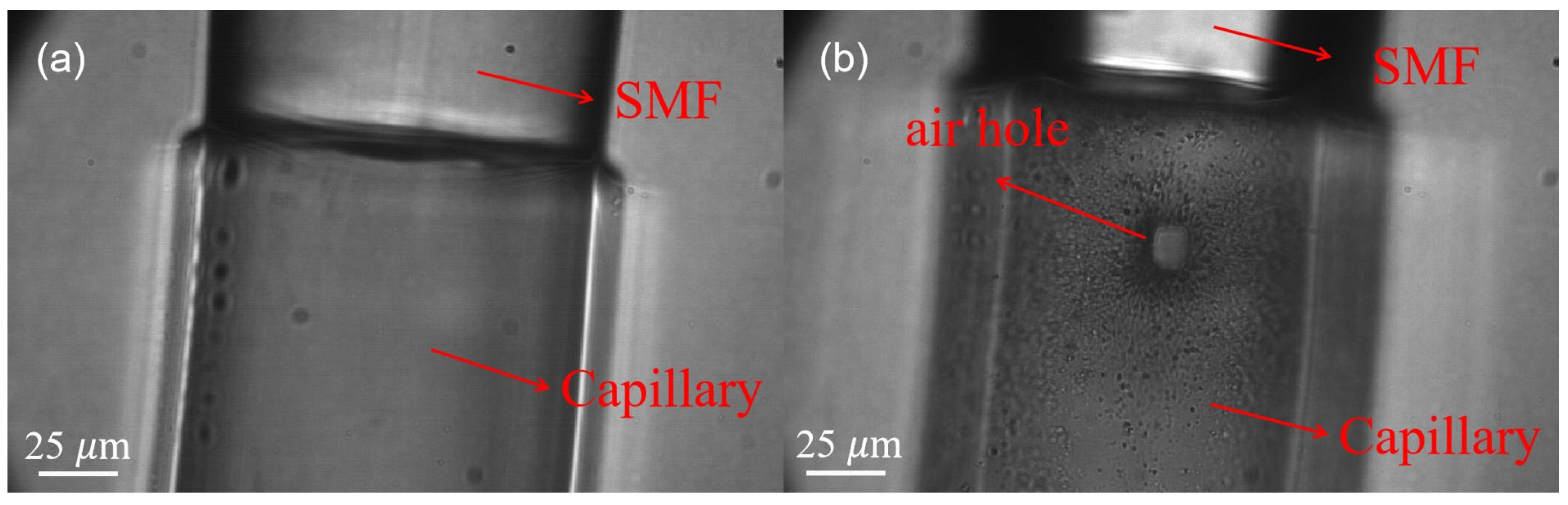 Photonics 12 01047 g004