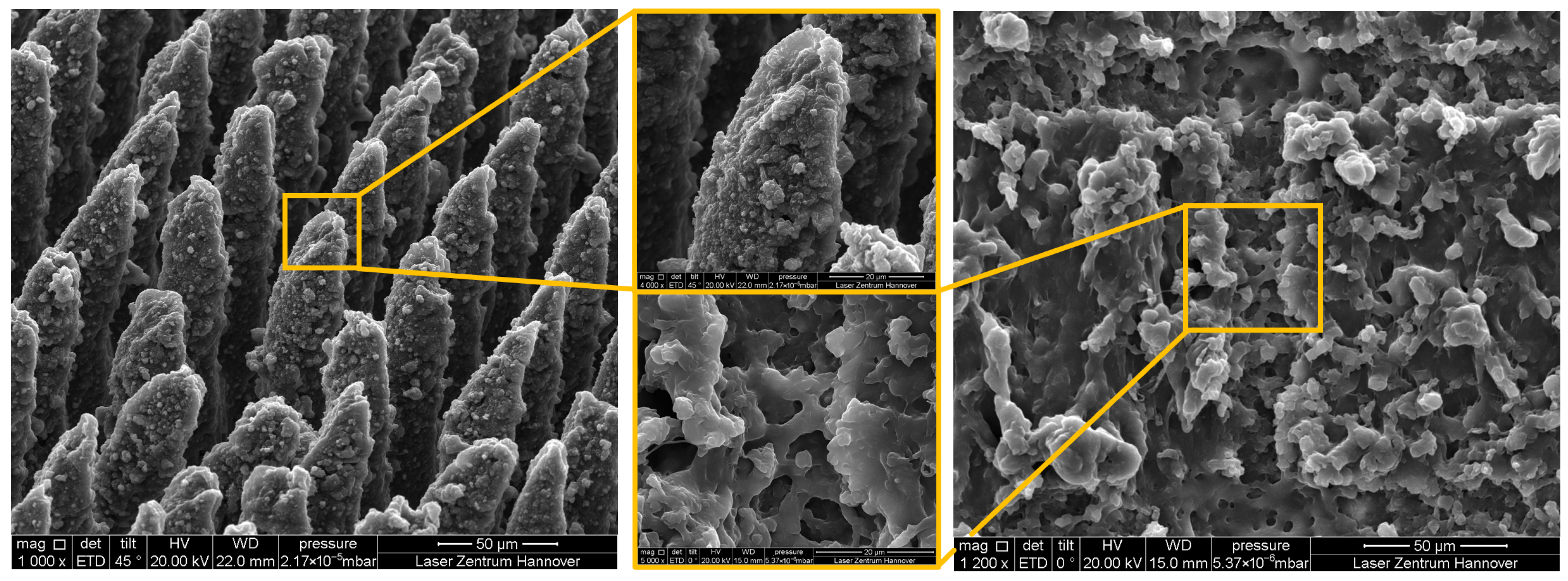 Photonics 12 01055 g009