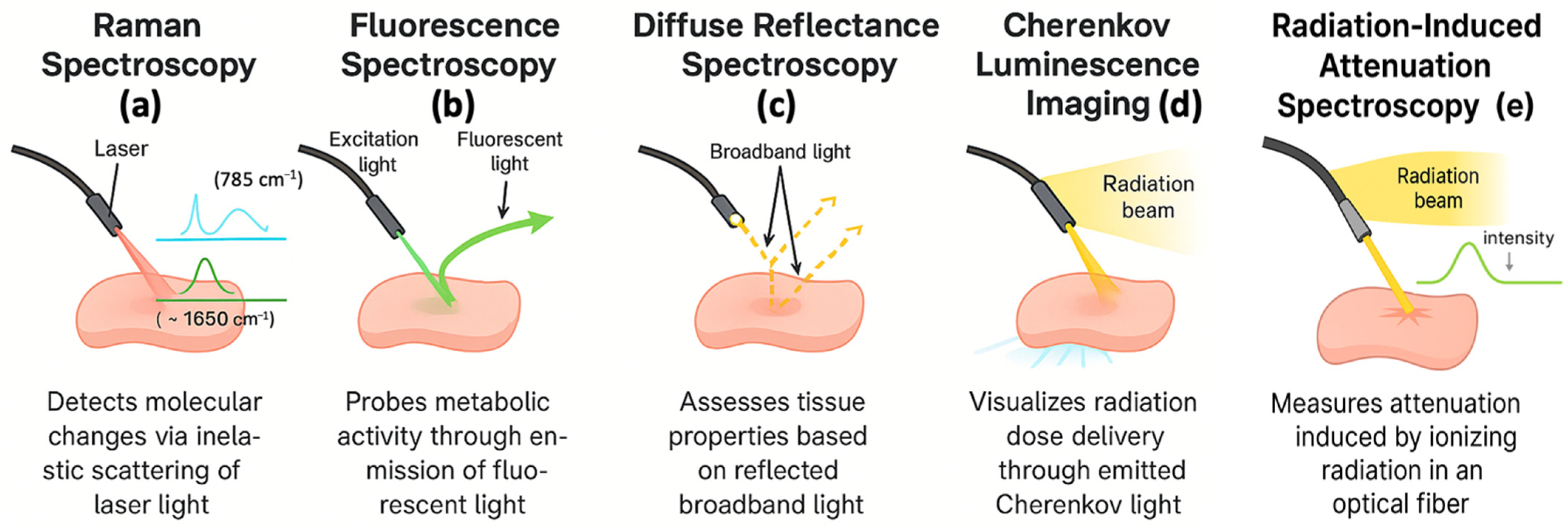 Photonics 12 01058 g002