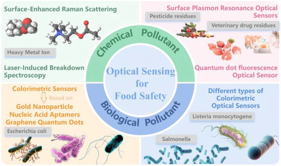 Optical Sensor Technologies for Enhanced Food Safety Monitoring