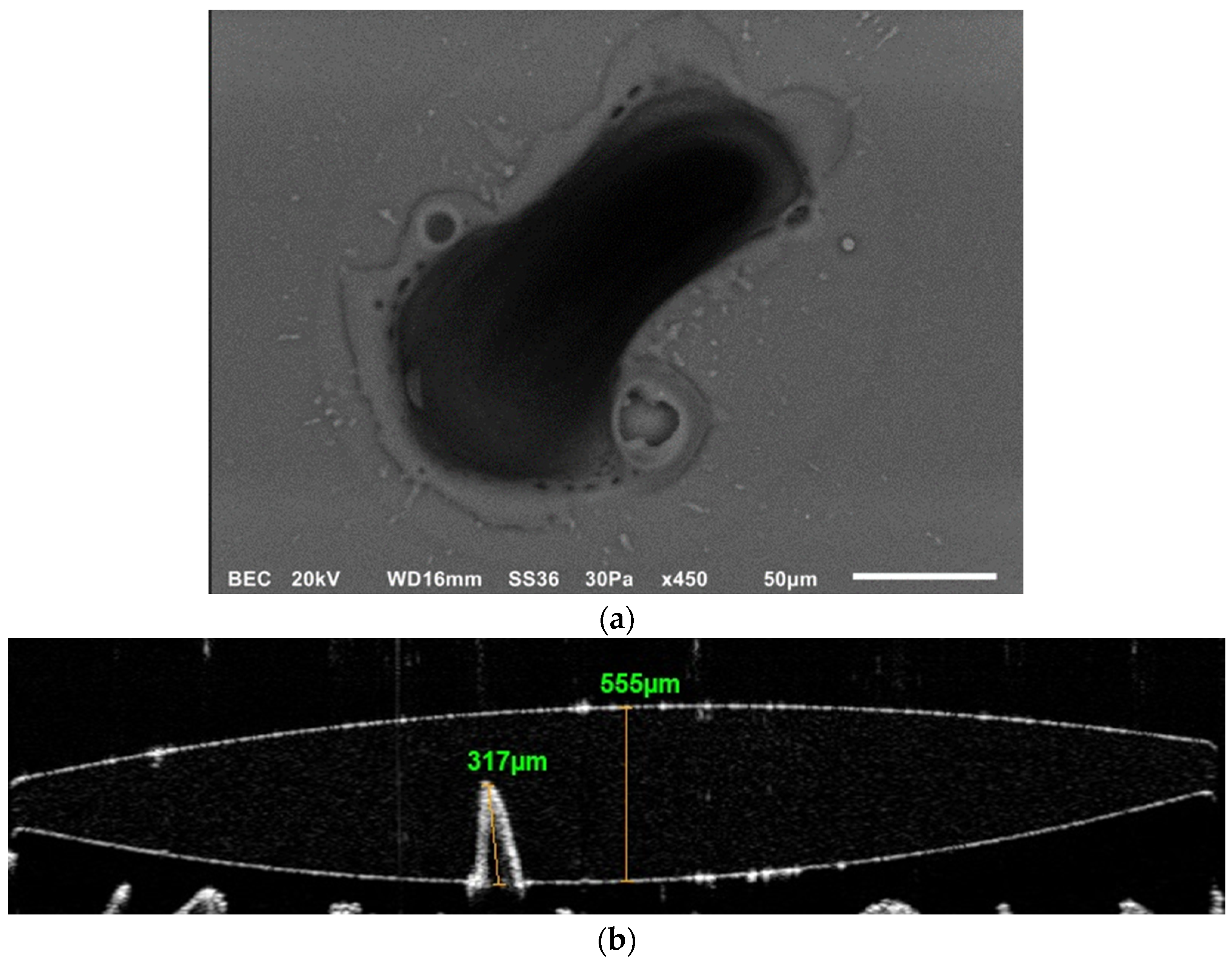 Photonics 12 01082 g004