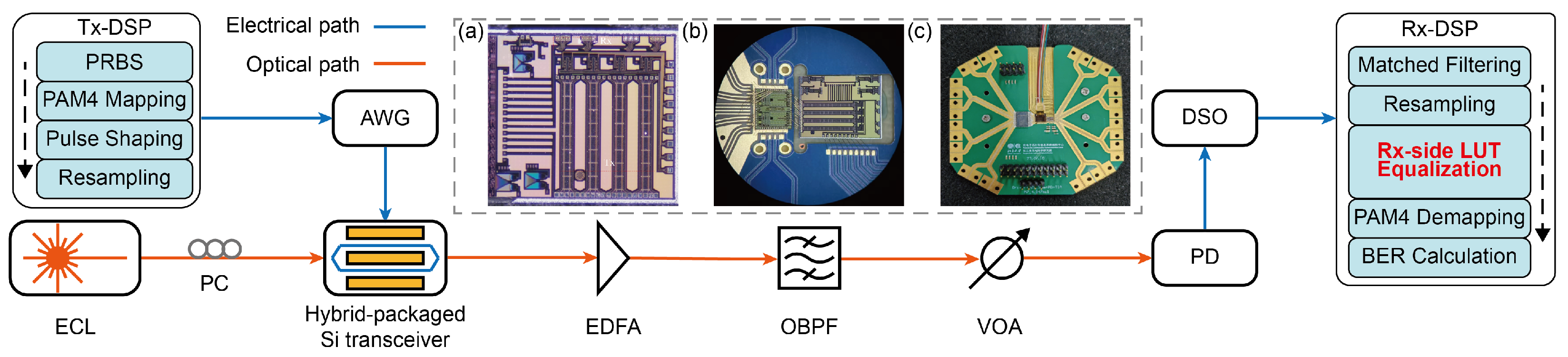 Photonics 12 01091 g002 Photonics 12 01091 g002