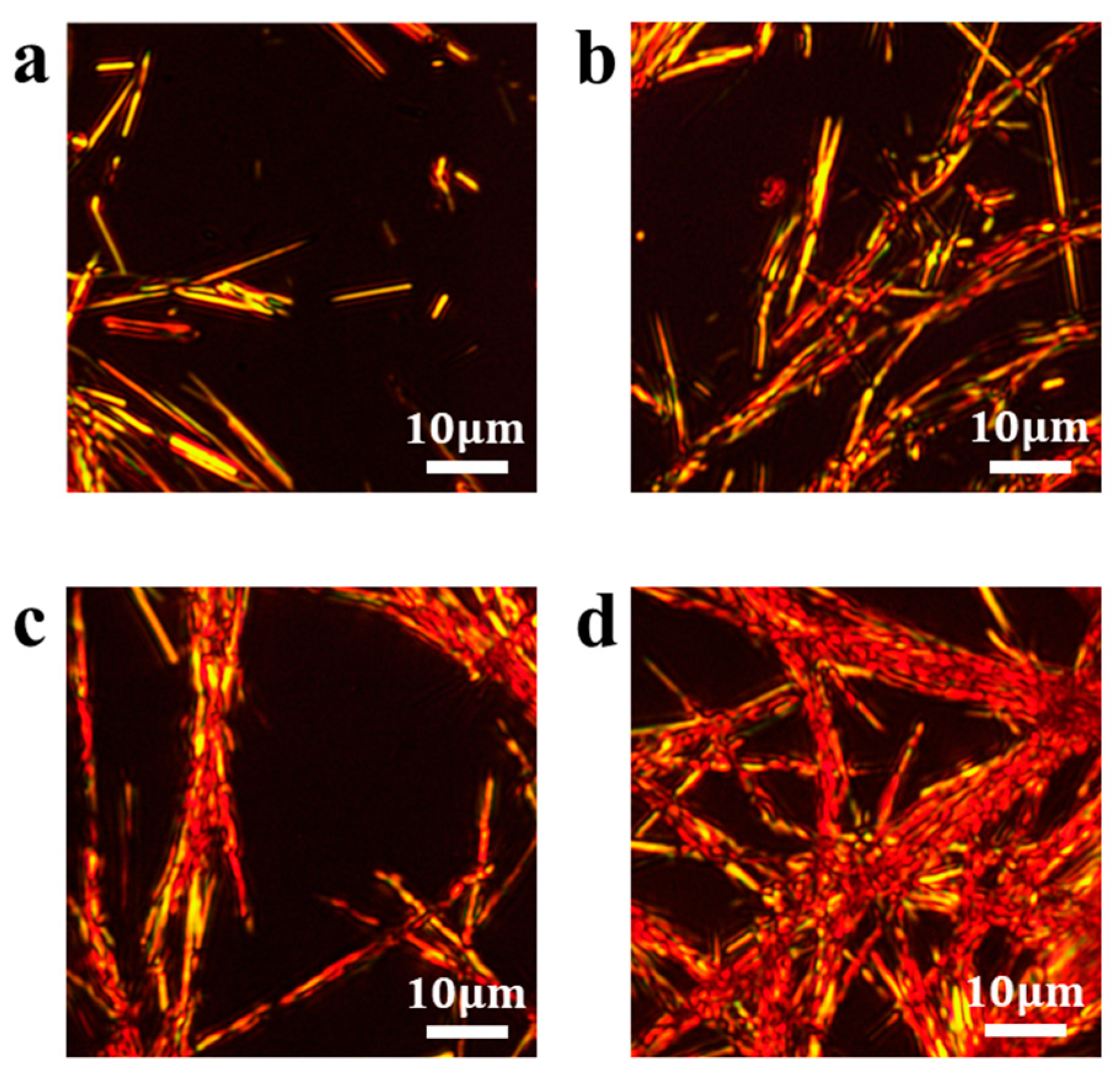 Photonics 12 01132 g002