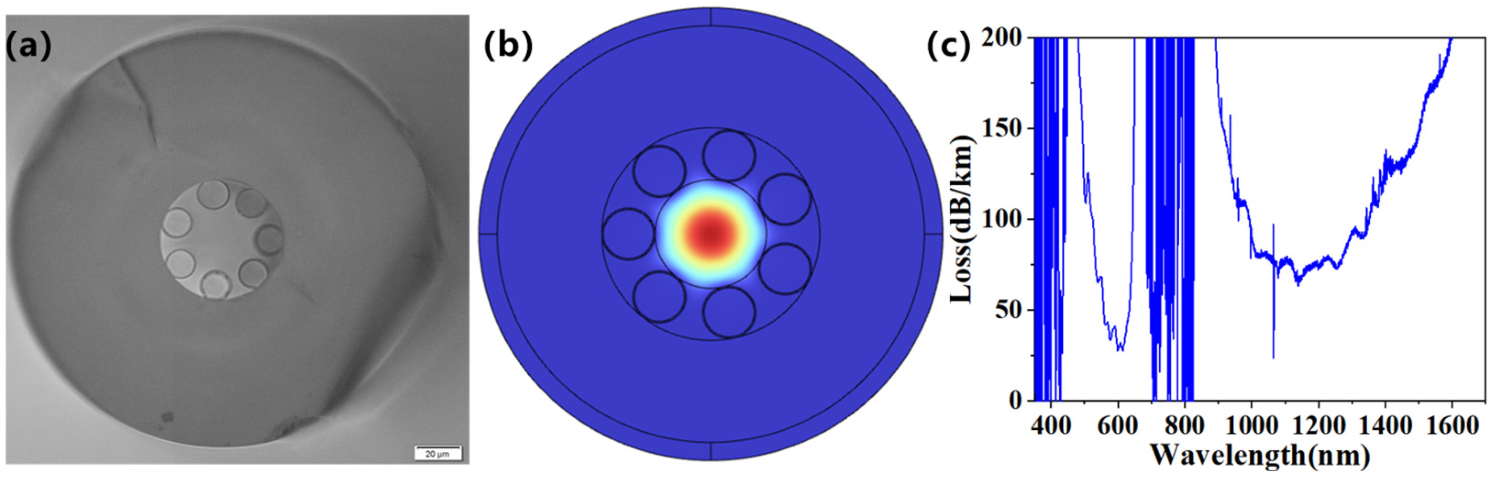 Photonics 12 01133 g003