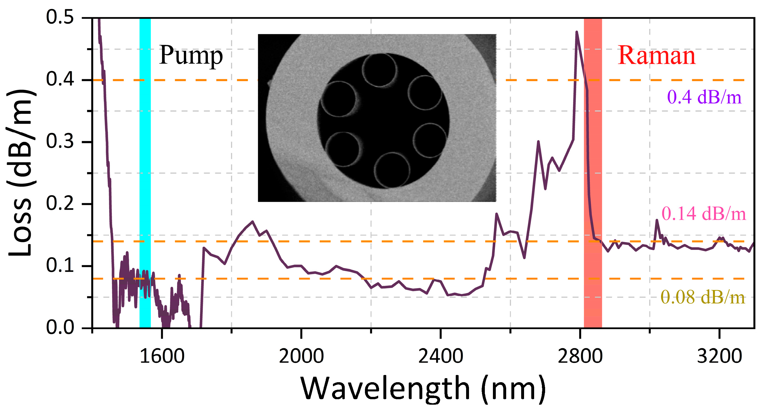 Photonics 12 01137 g002