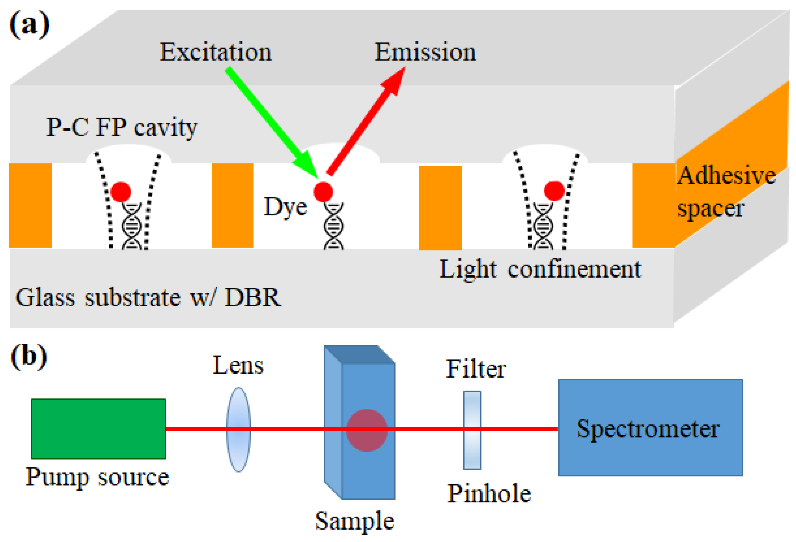Photonics 12 01144 g001