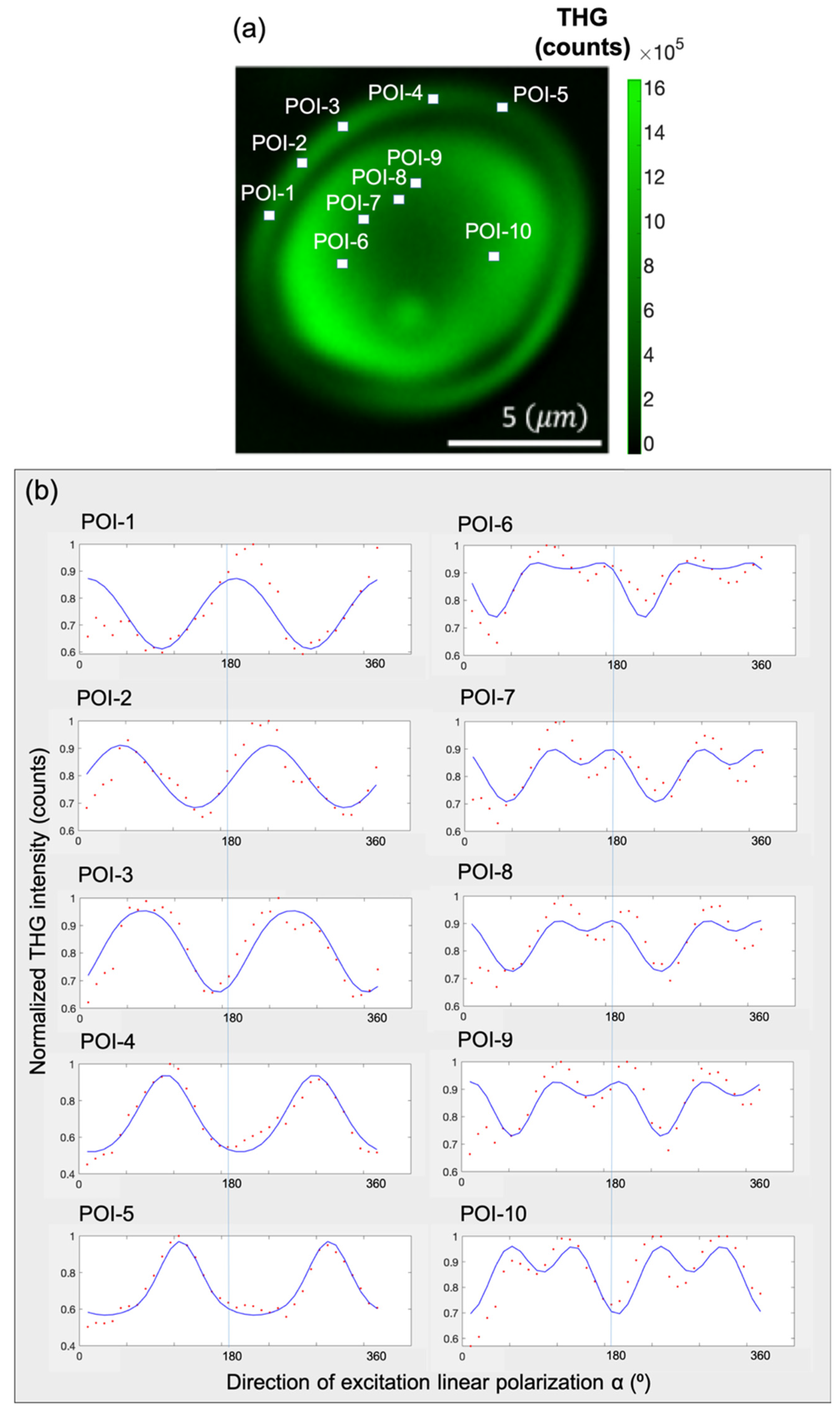 Photonics 13 00016 g006