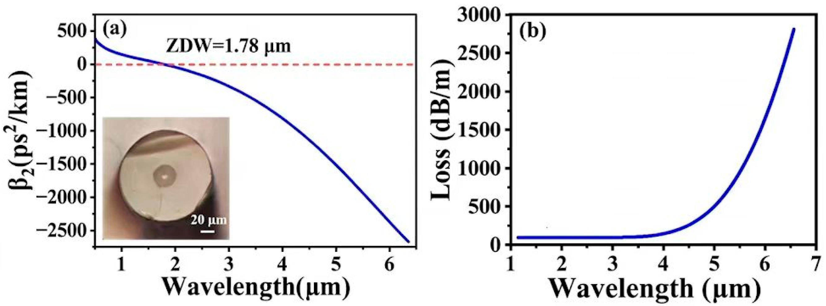 Photonics 13 00050 g002