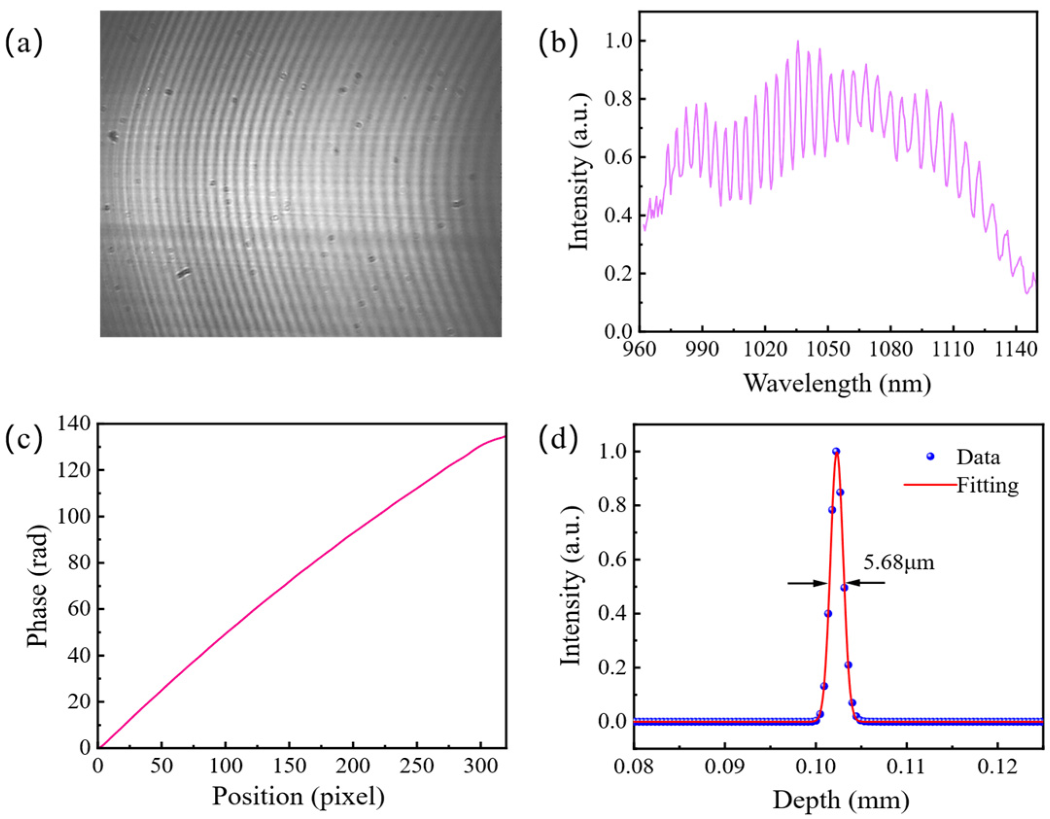 Photonics 13 00260 g003