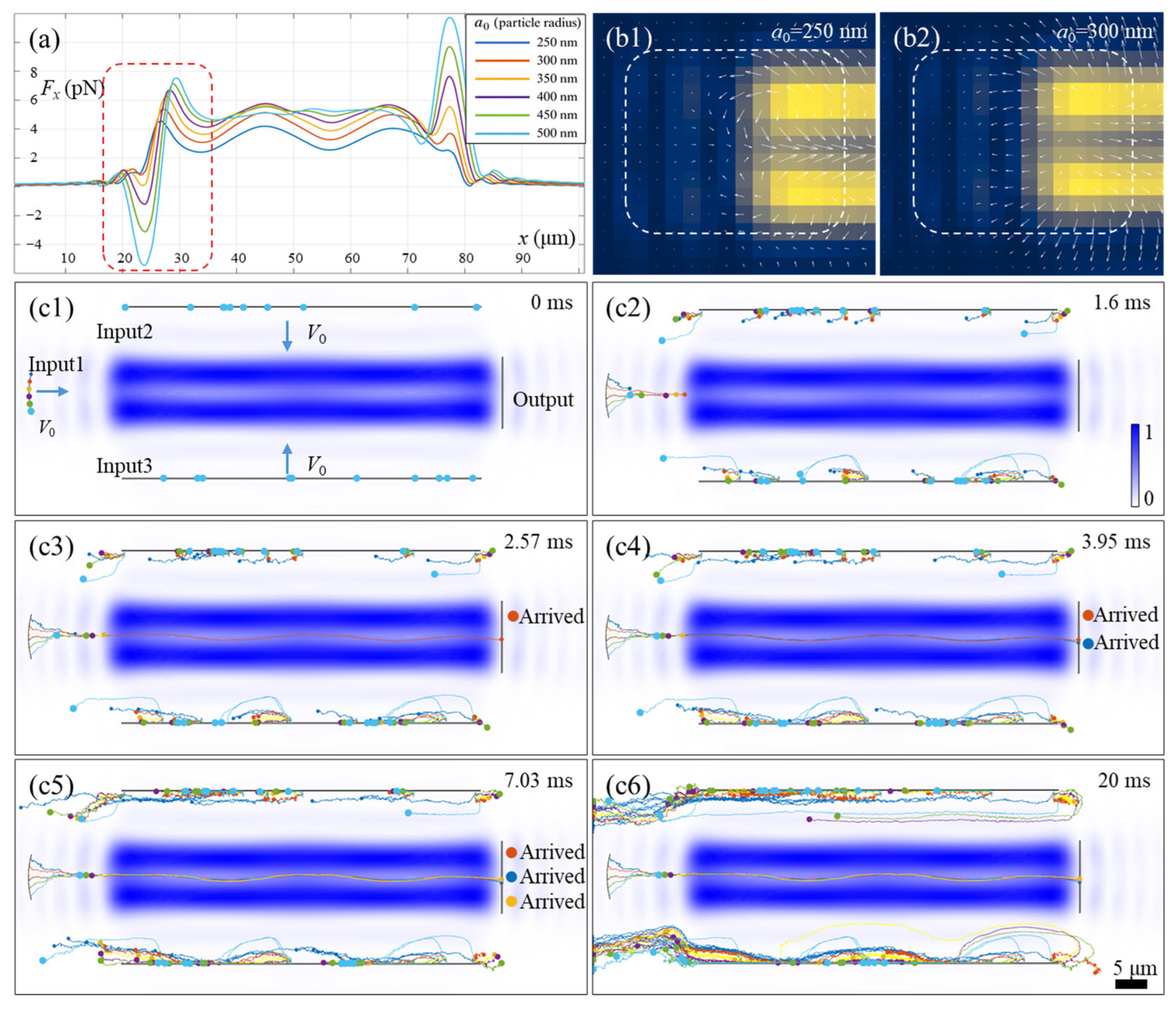 Photonics 13 00378 g002