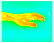 Photonics 13 00490 i002