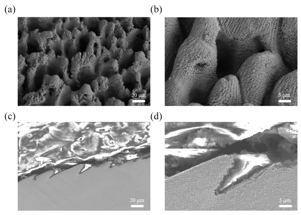 Photonics 13 00769 g006