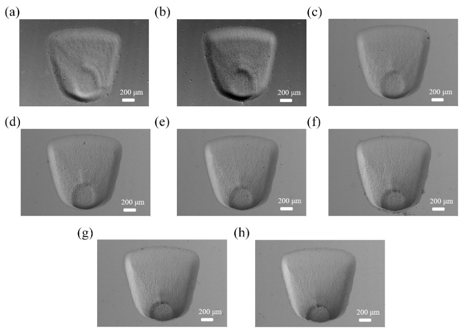 Photonics 13 00769 g007