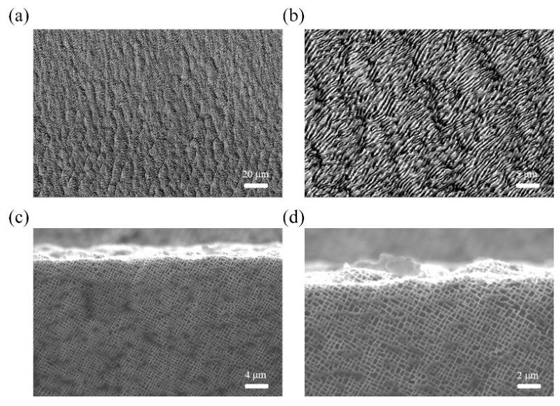 Photonics 13 00769 g009