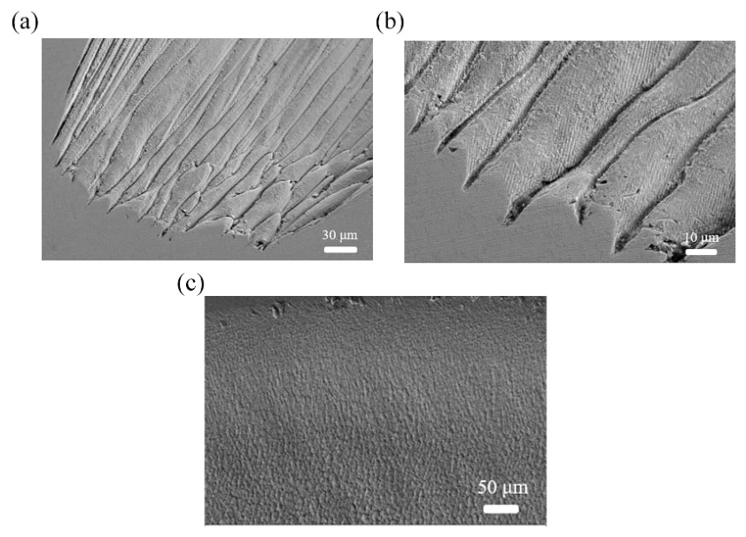 Photonics 13 00769 g010