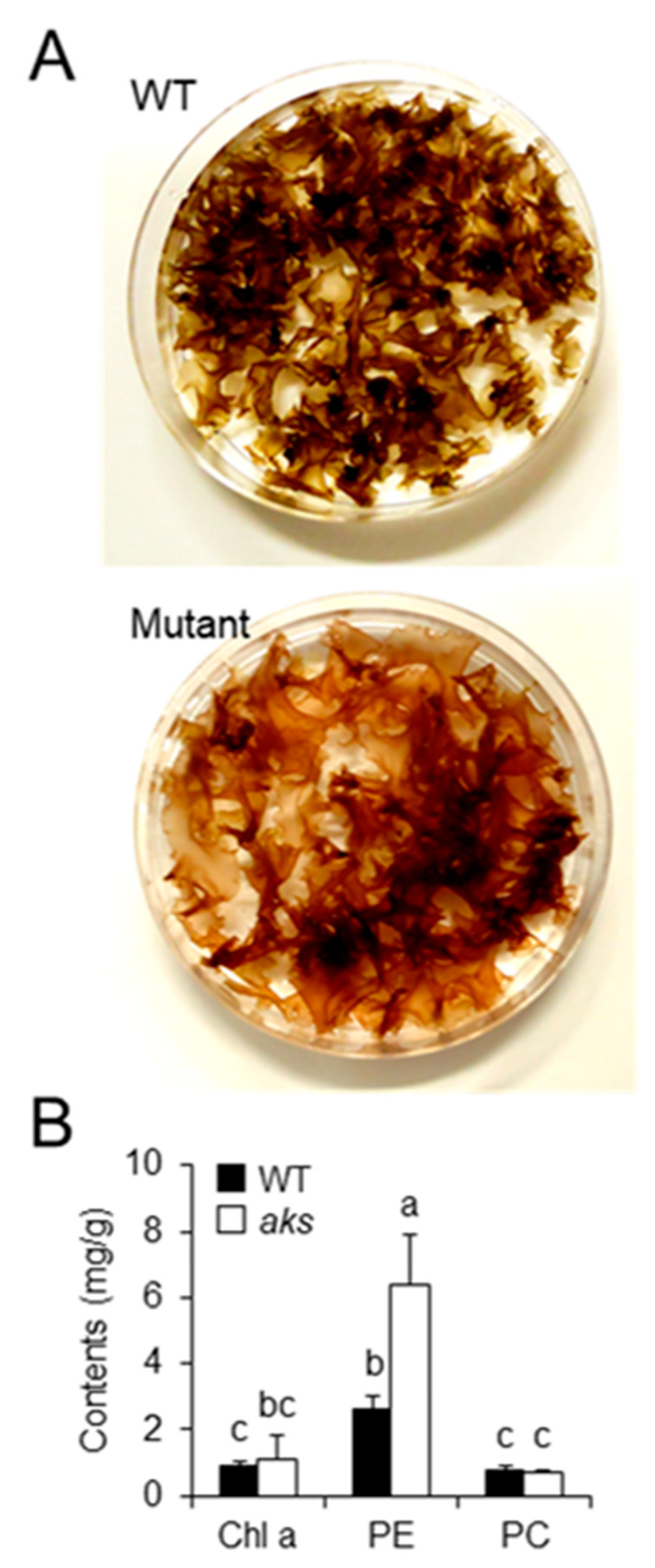Phycology 01 00002 g001