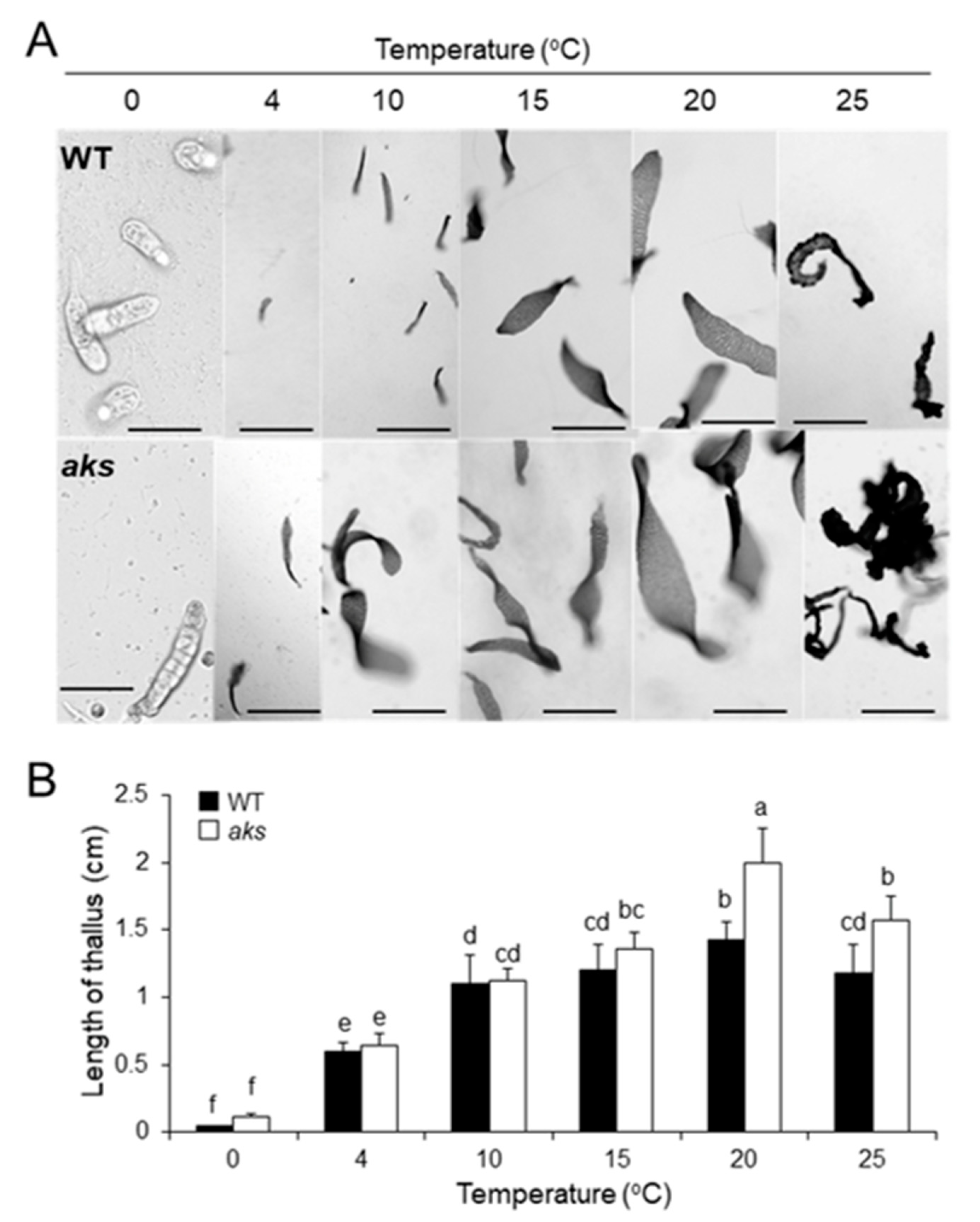 Phycology 01 00002 g002
