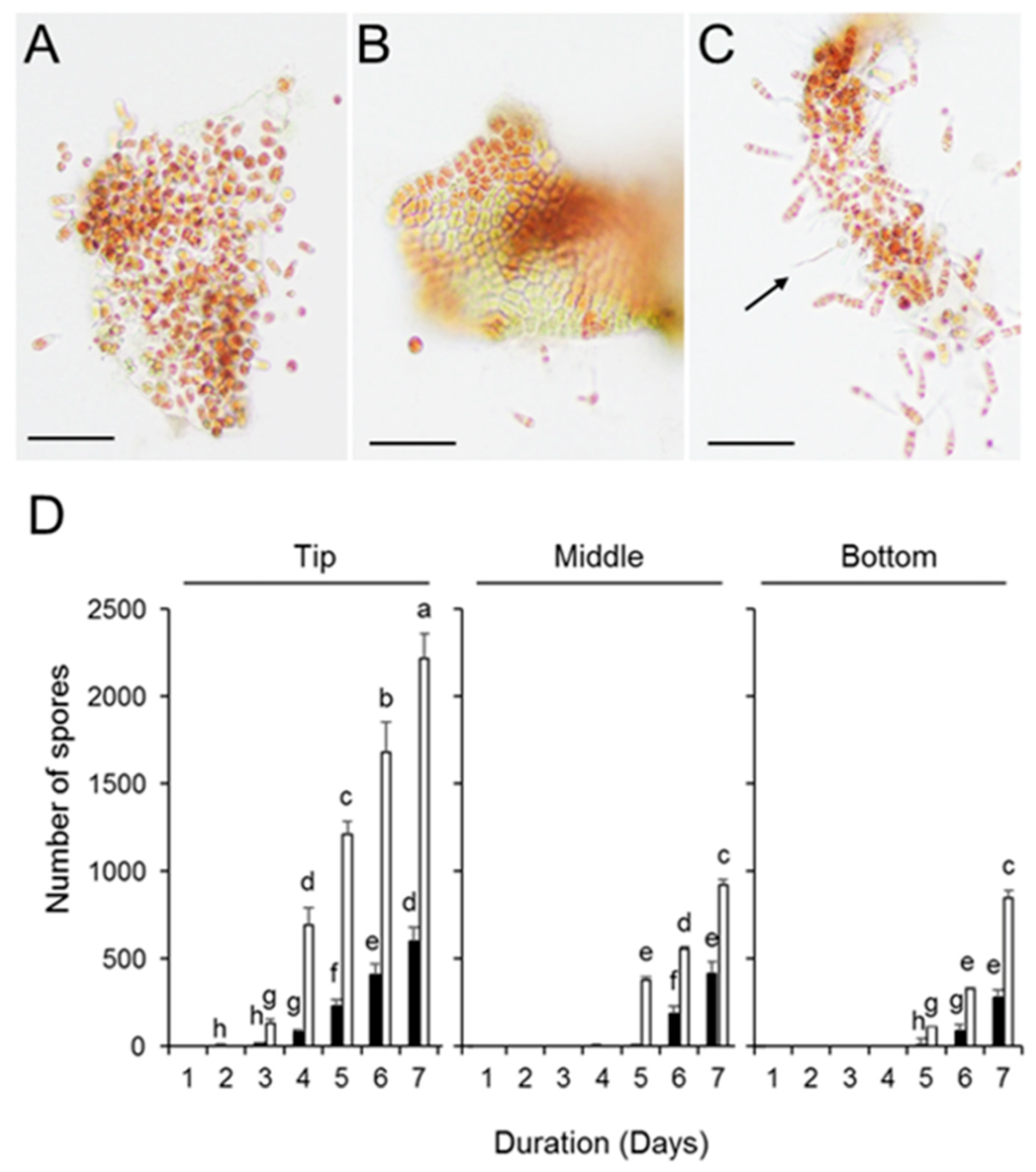 Phycology 01 00002 g005