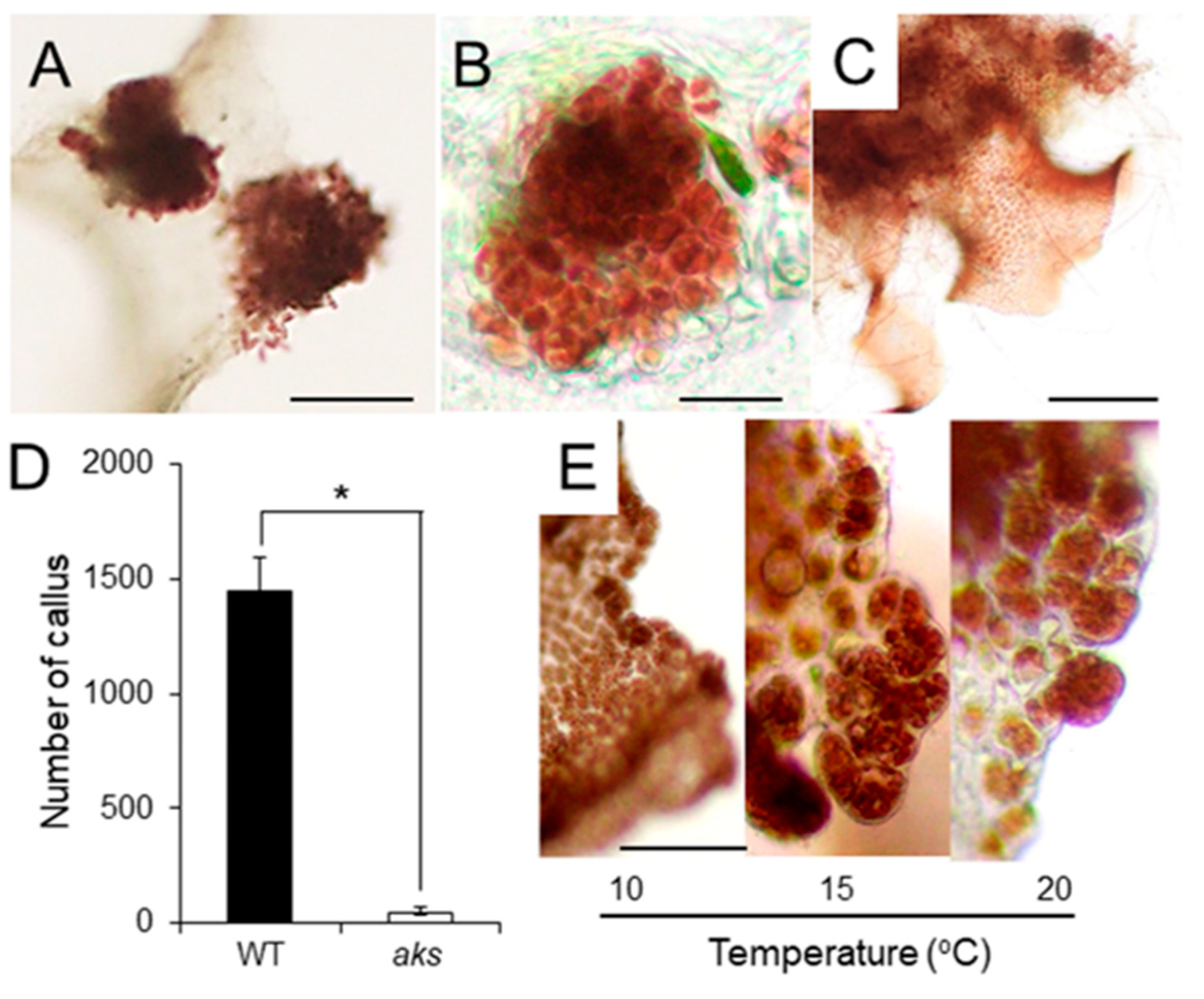 Phycology 01 00002 g006