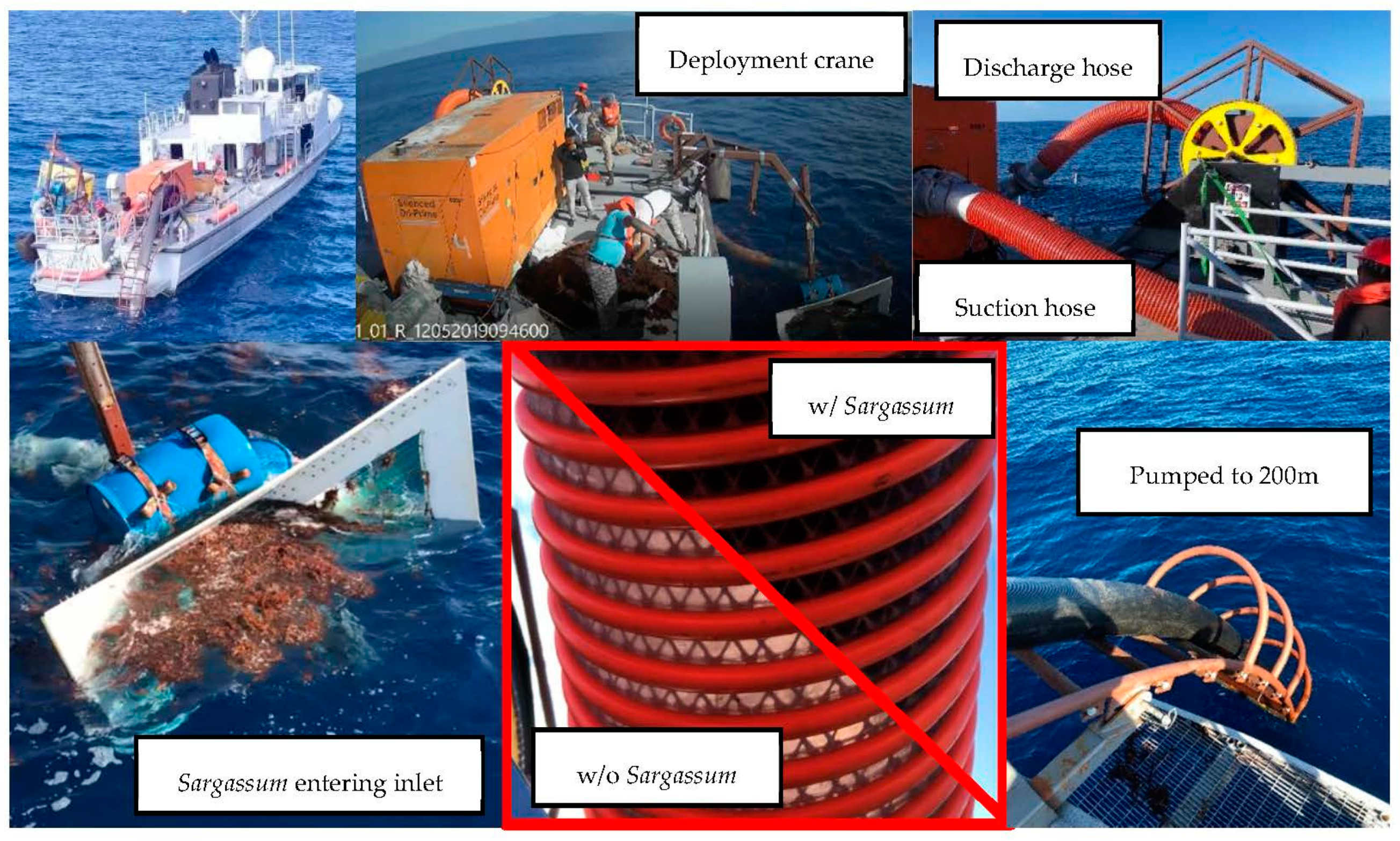 Phycology 01 00004 g007 Phycology 01 00004 g007