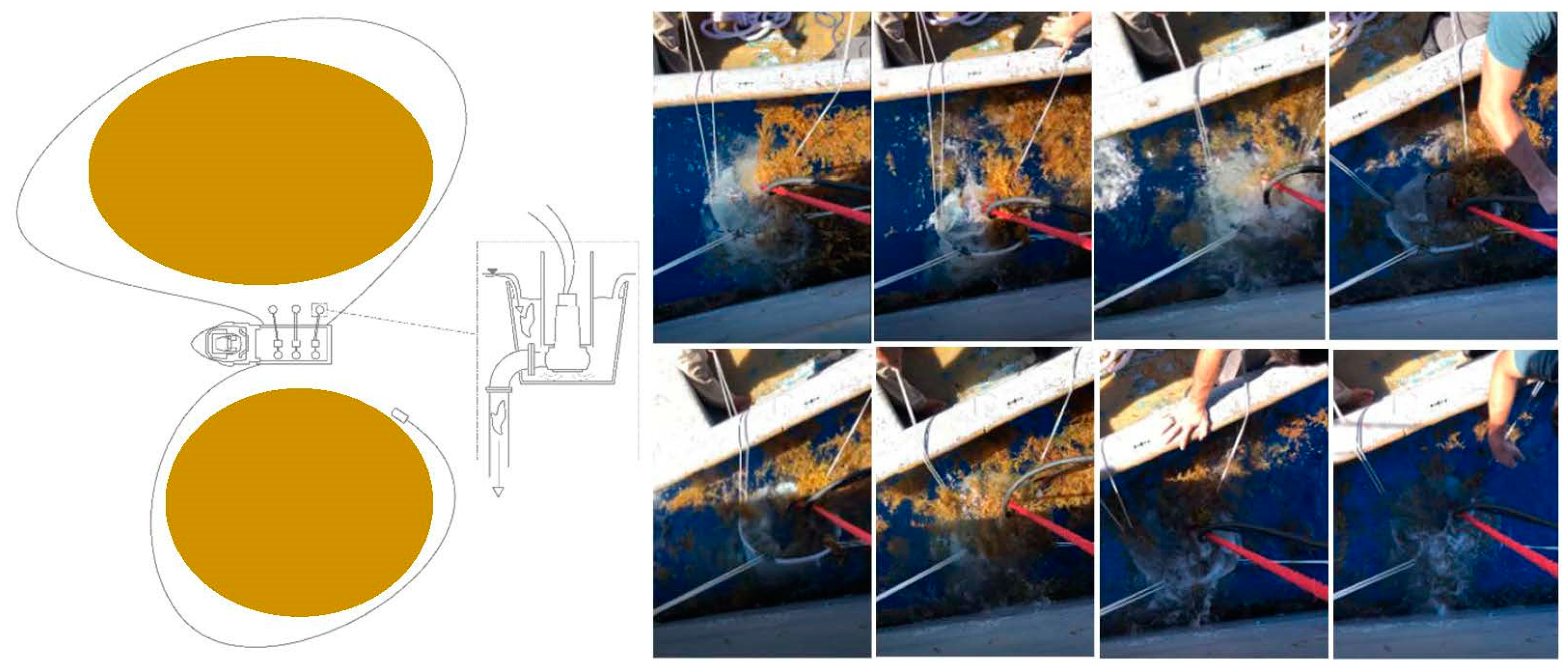 Phycology 01 00004 g0a2 Phycology 01 00004 g0a2