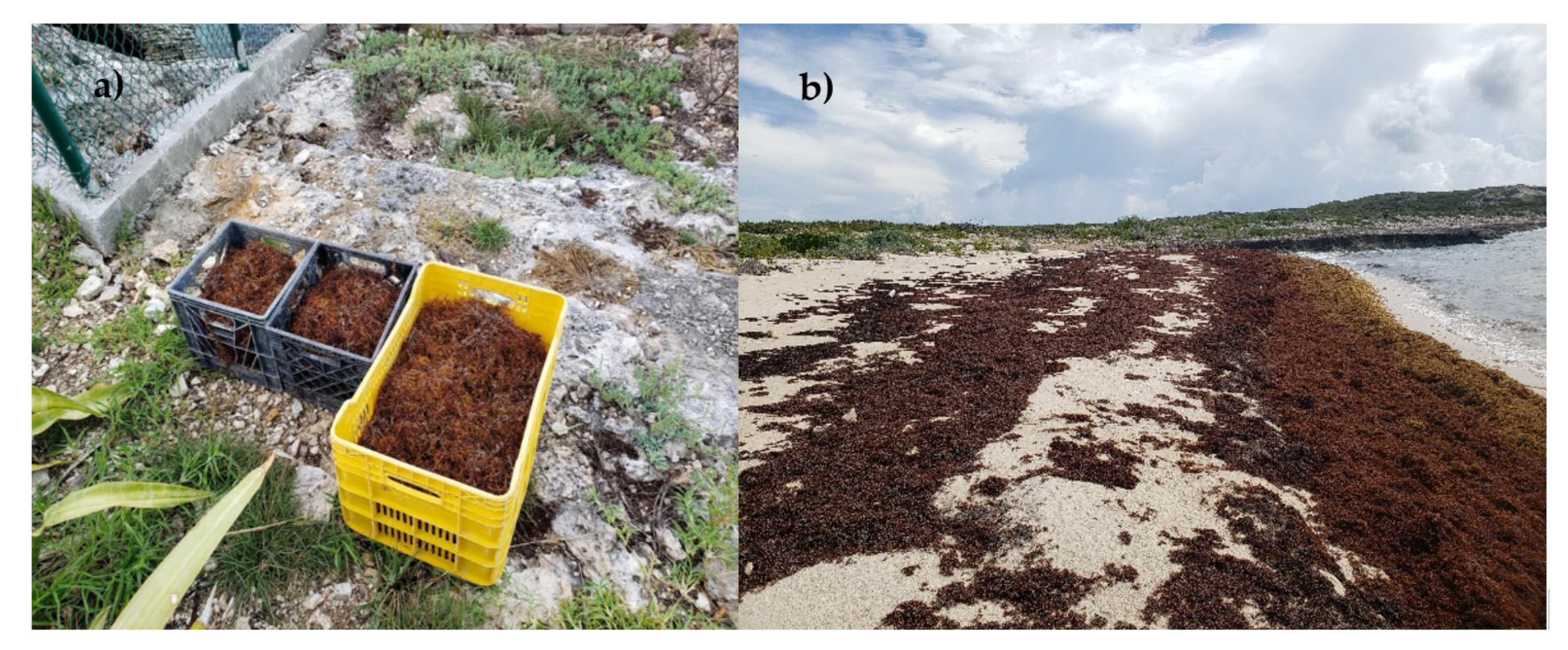 Phycology 01 00011 g002