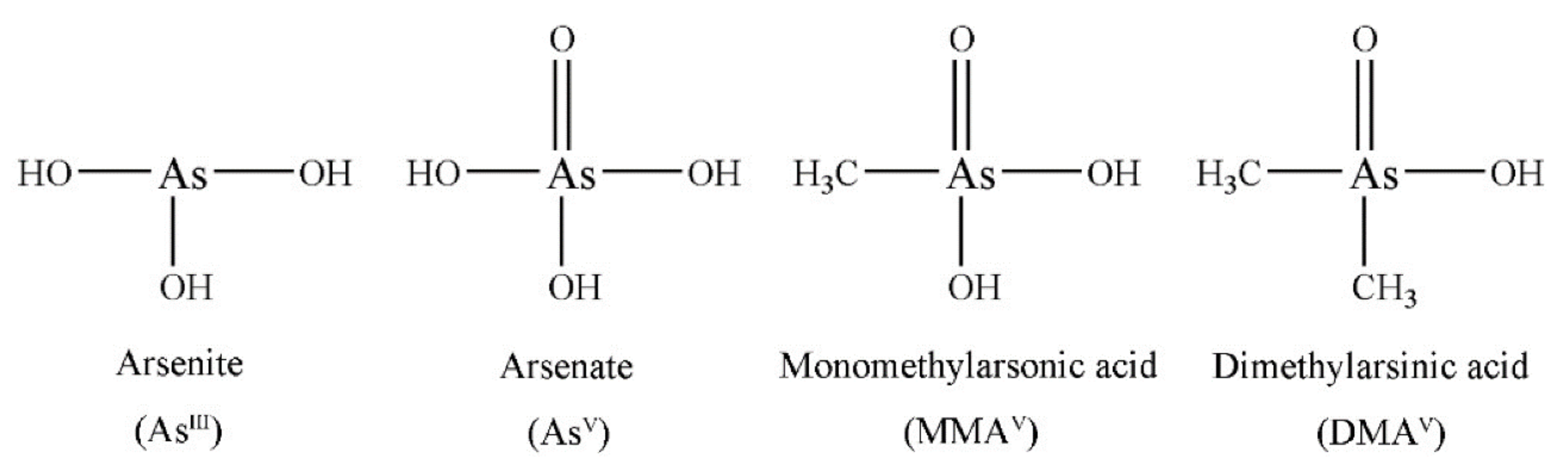 Phycology 01 00011 g012