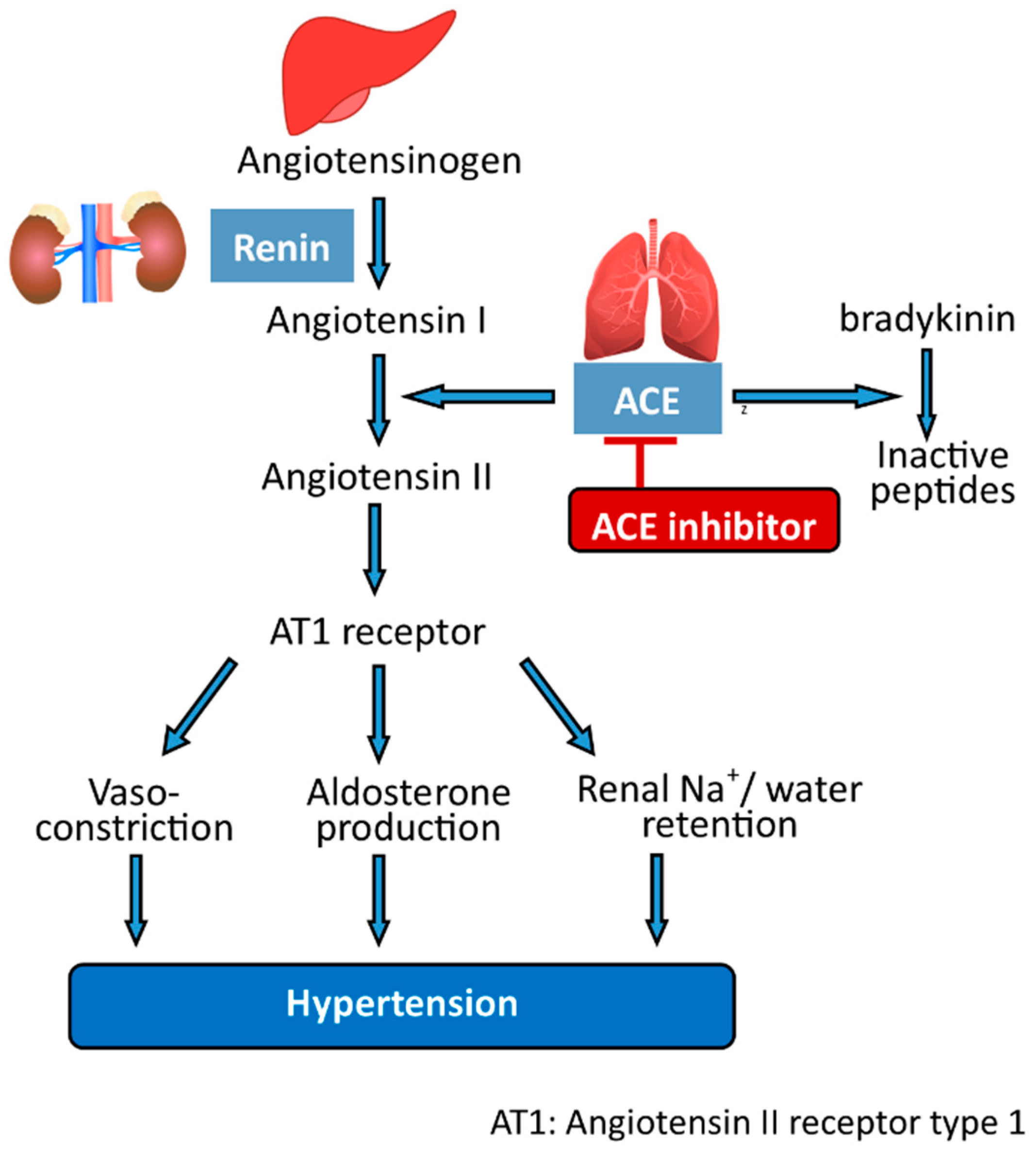 Phycology 02 00012 g003