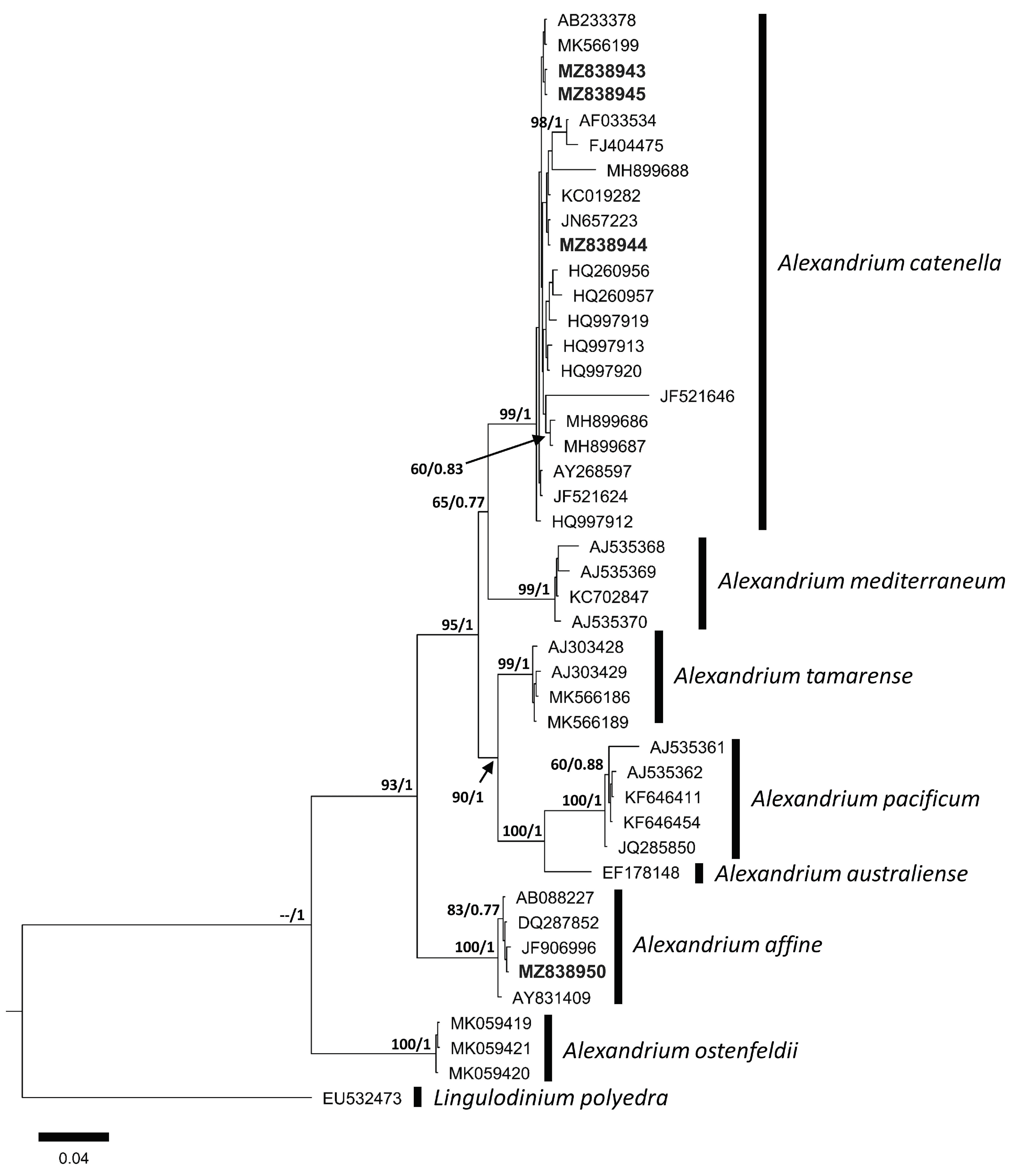 Phycology 03 00006 g005