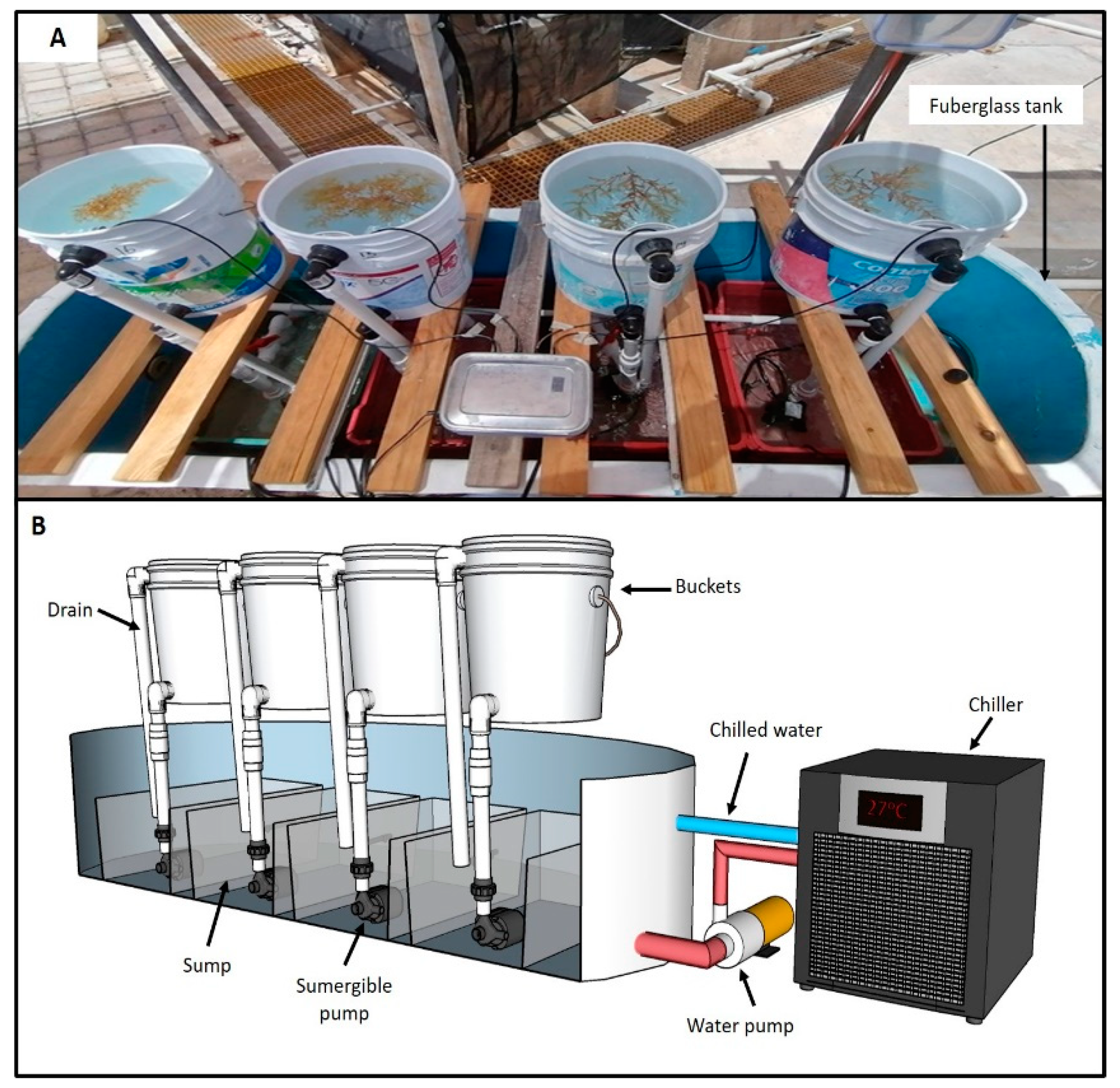 Phycology 03 00009 g001 550