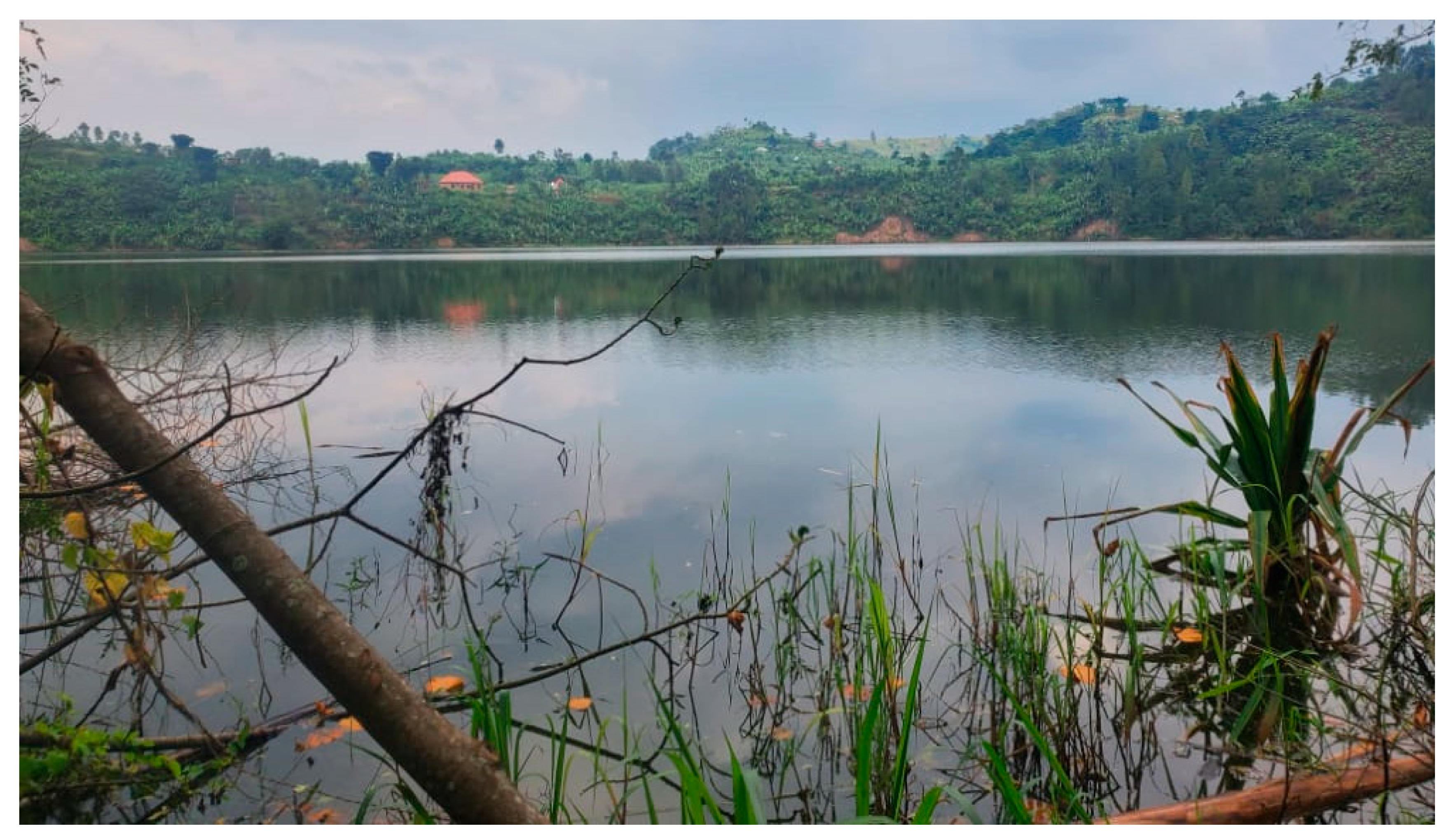 Phycology 03 00010 g003 Phycology 03 00010 g003