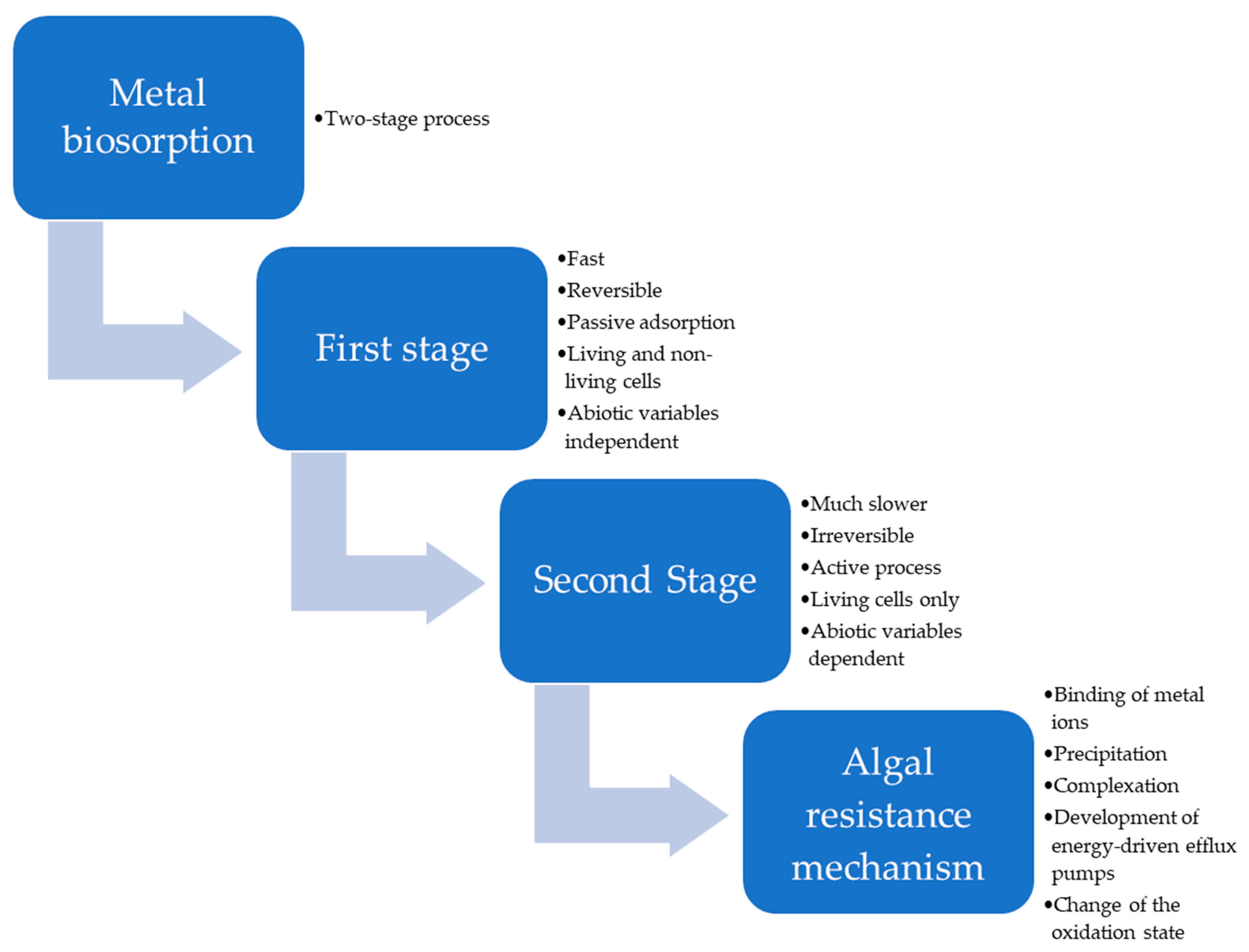 Phycology 03 00012 g002 Phycology 03 00012 g002