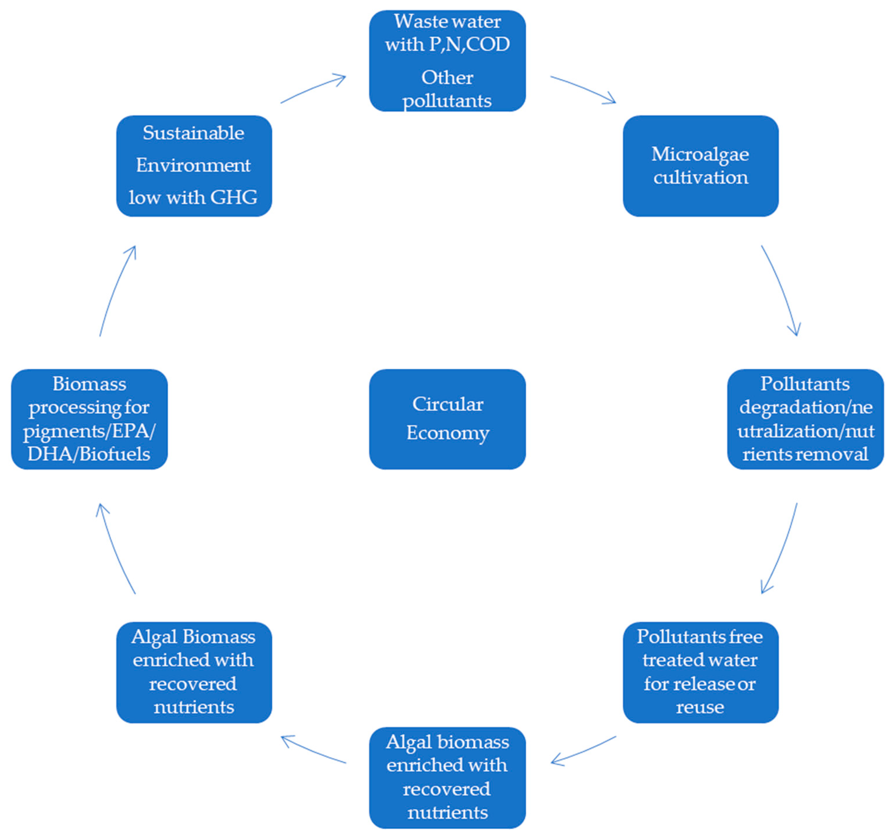 Phycology 03 00012 g003 Phycology 03 00012 g003