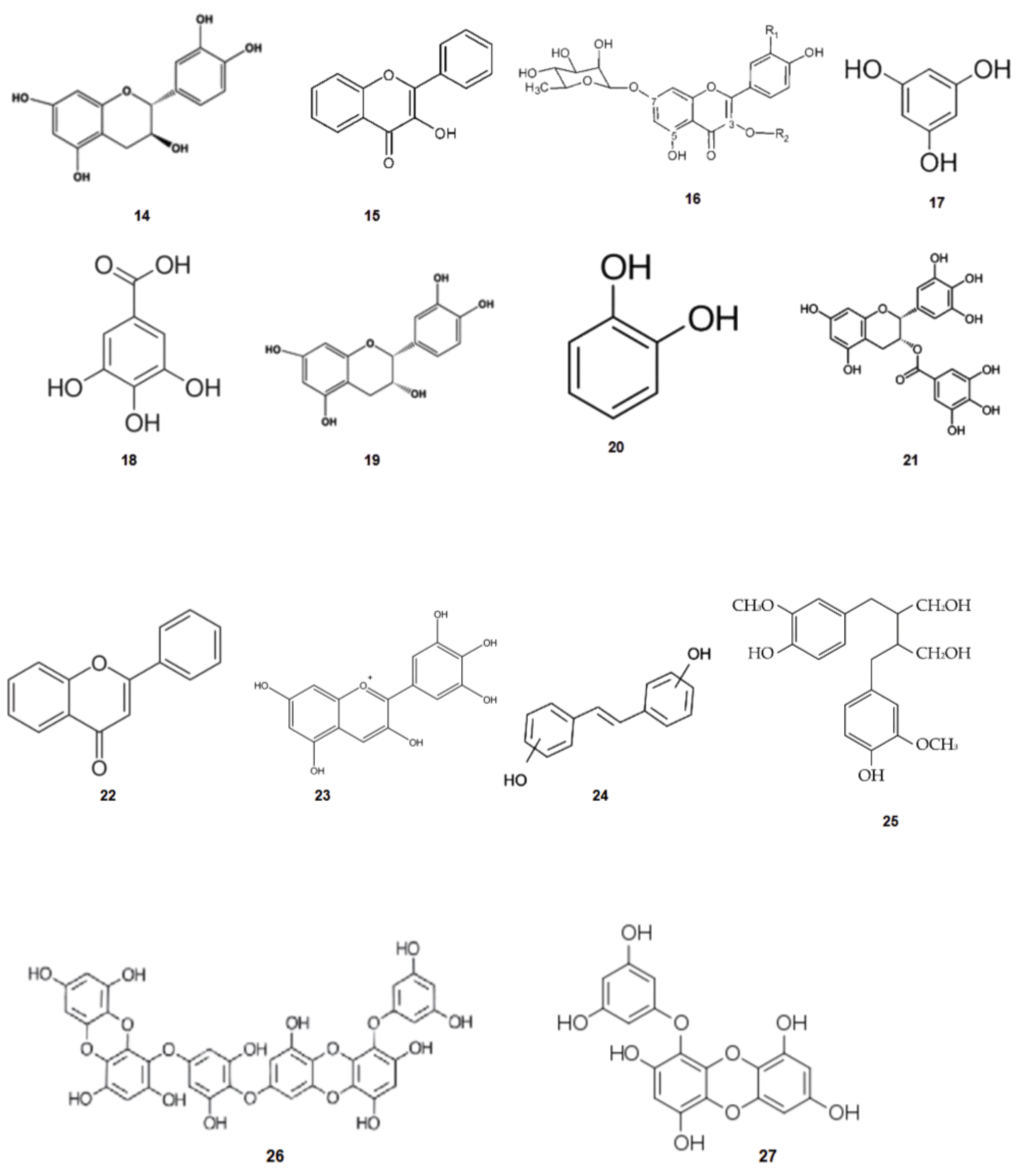 Phycology 03 00014 g004