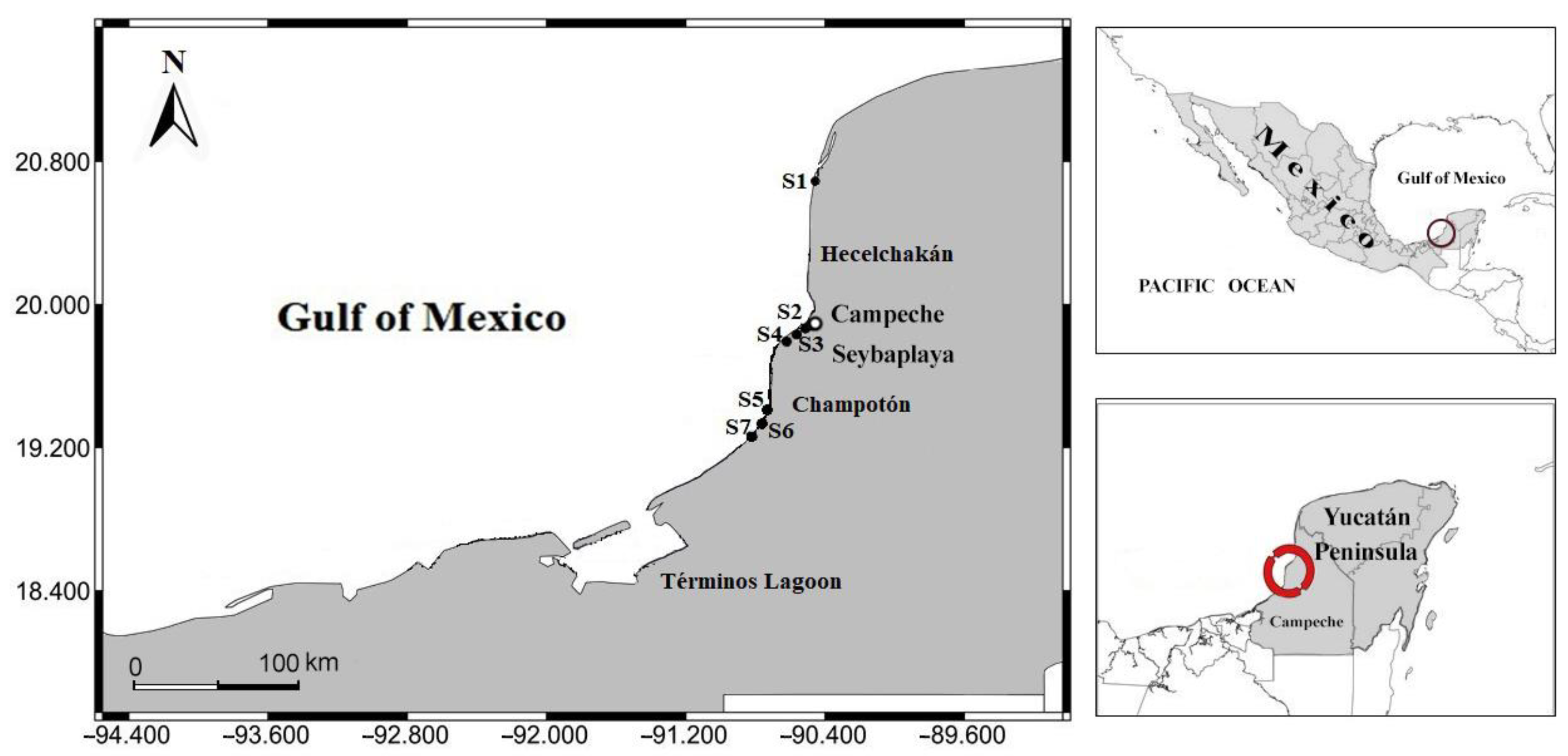 Phycology 03 00017 g001 Phycology 03 00017 g001